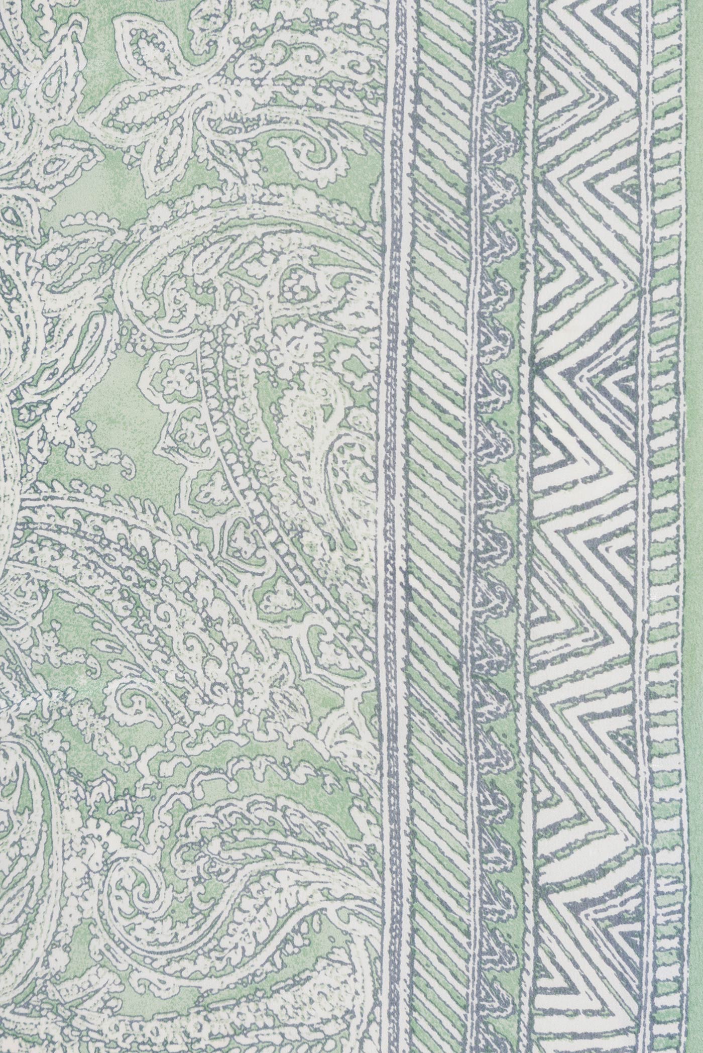 Border image of Pista Green Dual Tone Mysore Crepe Saree with Printed design on the body and Printed Border. 