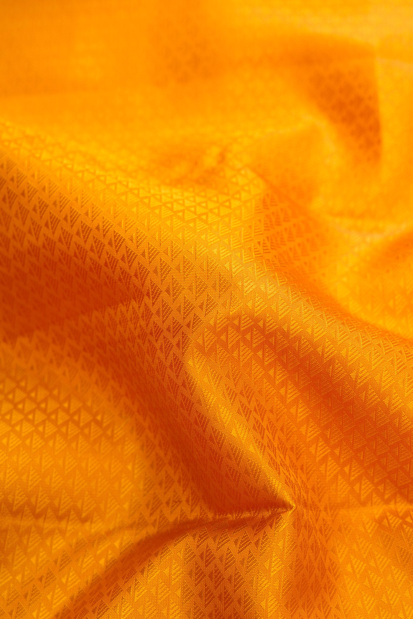 Close up of Mustard Dual Tone Kanjivaram Silk Saree with Jacquard design on the body and Zari Border.  displaying folds