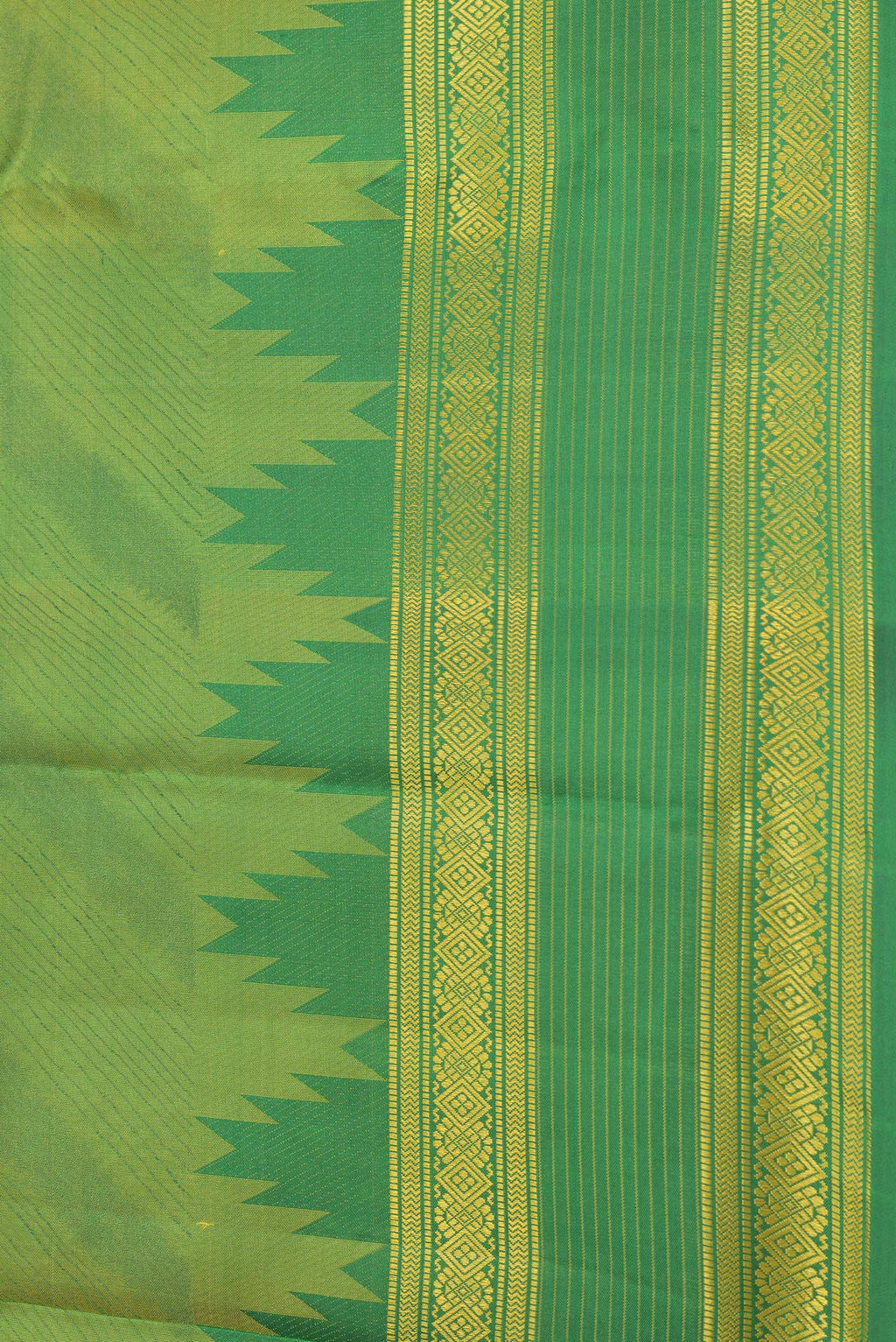 Border image of Green Dual Tone Kanchipuram Silk Saree with Jacquard design on the body and Thread Border. 