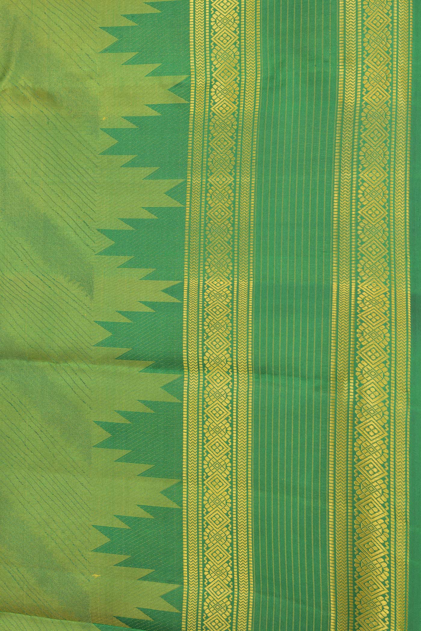 Border image of Green Dual Tone Kanchipuram Silk Saree with Jacquard design on the body and Thread Border. 