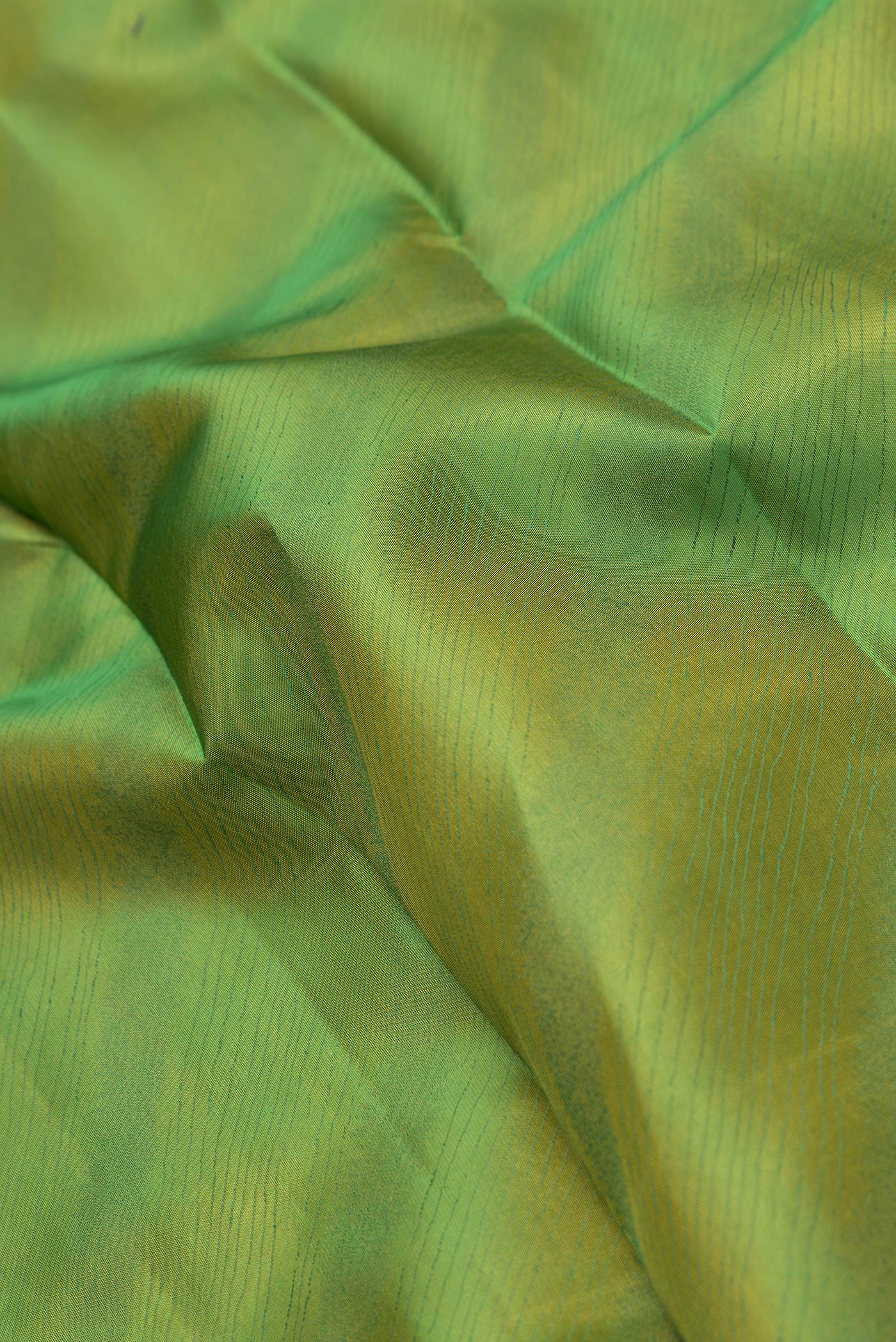 Close up of Green Dual Tone Kanchipuram Silk Saree with Jacquard design on the body and Thread Border.  displaying folds