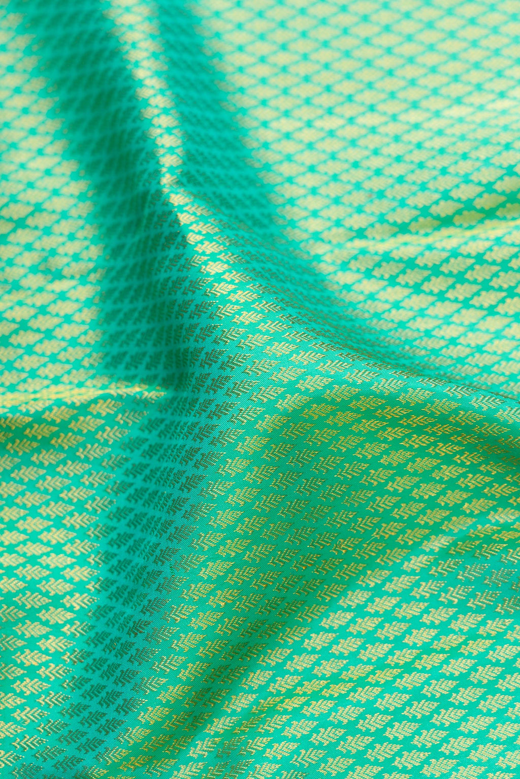 Close up of Sea Green Dual Tone Kanjivaram Silk Saree with Zari Brocade on the body and Zari Border.  displaying folds