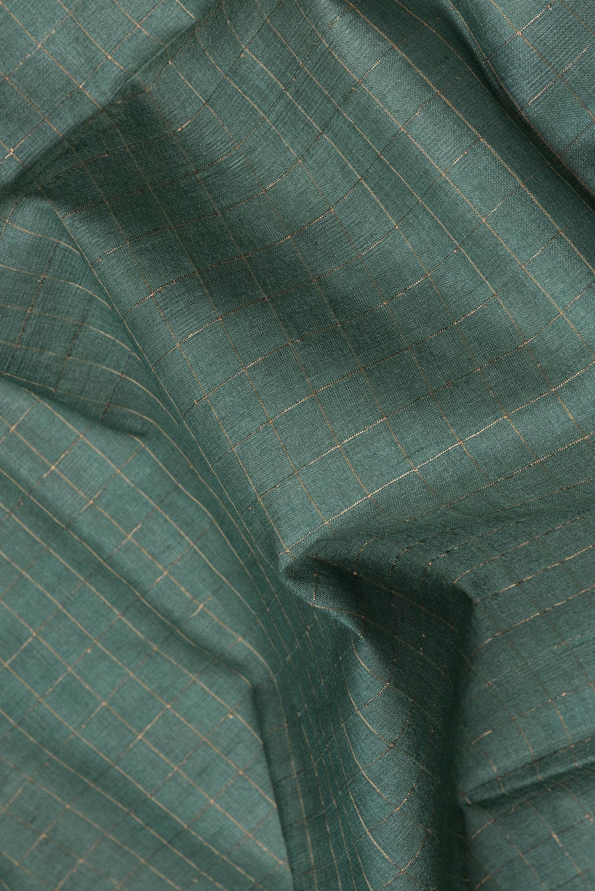 Close up of Green Tussar Silk Saree with Checked design on the body and Printed Border.  displaying folds