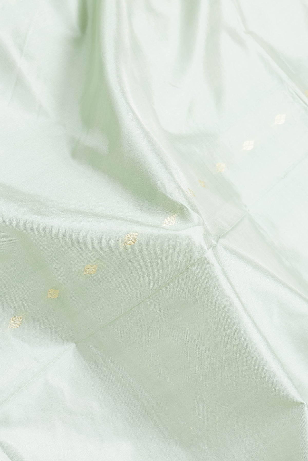 Close up of Pista Green Dual Tone Banarasi Silk Saree with Thread Butta on the body and Thread Border.  displaying folds