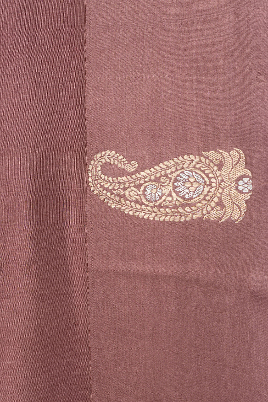Border image of Brown and Bronze Color Tussar Silk Saree with Zari Butta on the body and Fancy Border. 