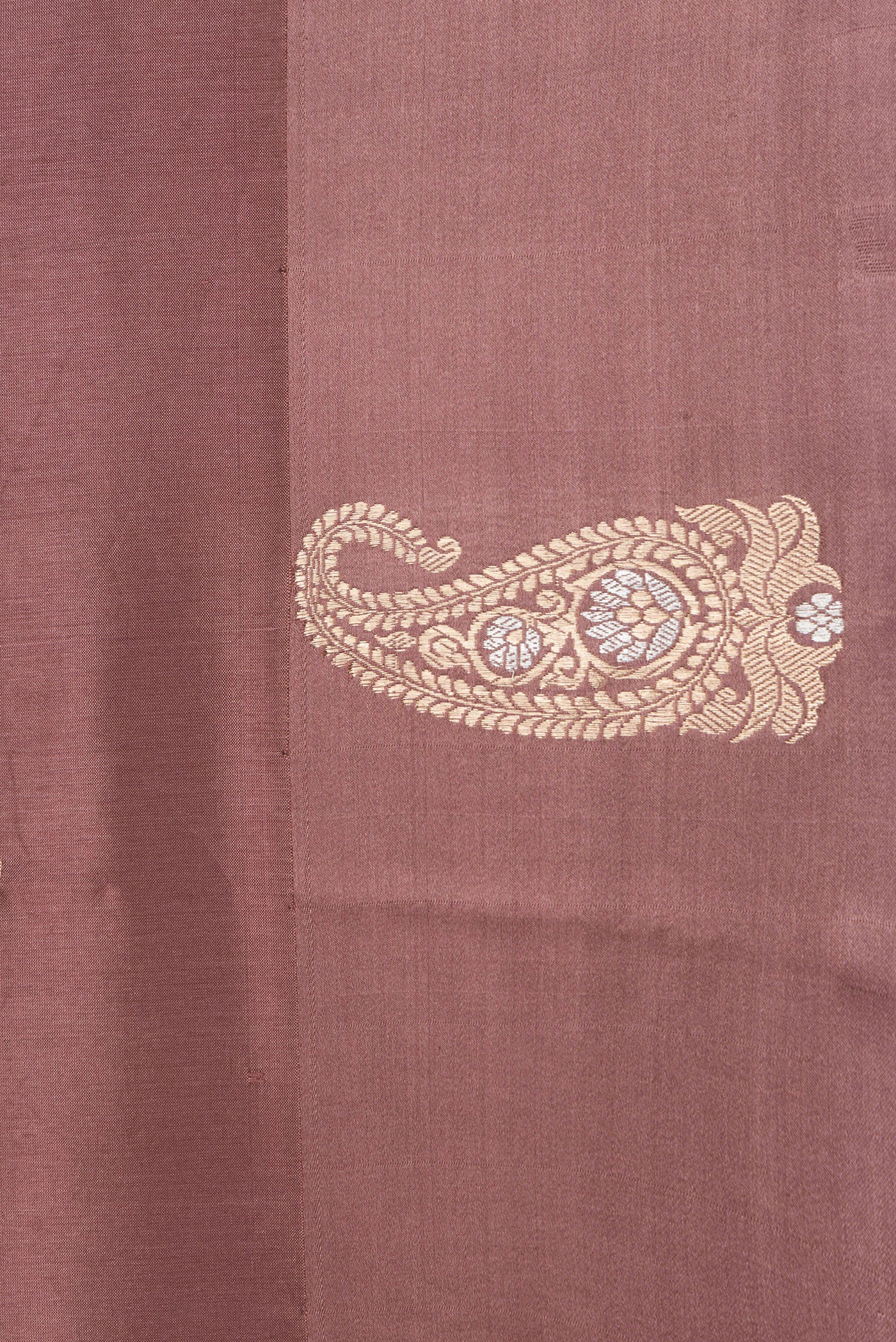 Border image of Brown and Bronze Color Tussar Silk Saree with Zari Butta on the body and Fancy Border. 