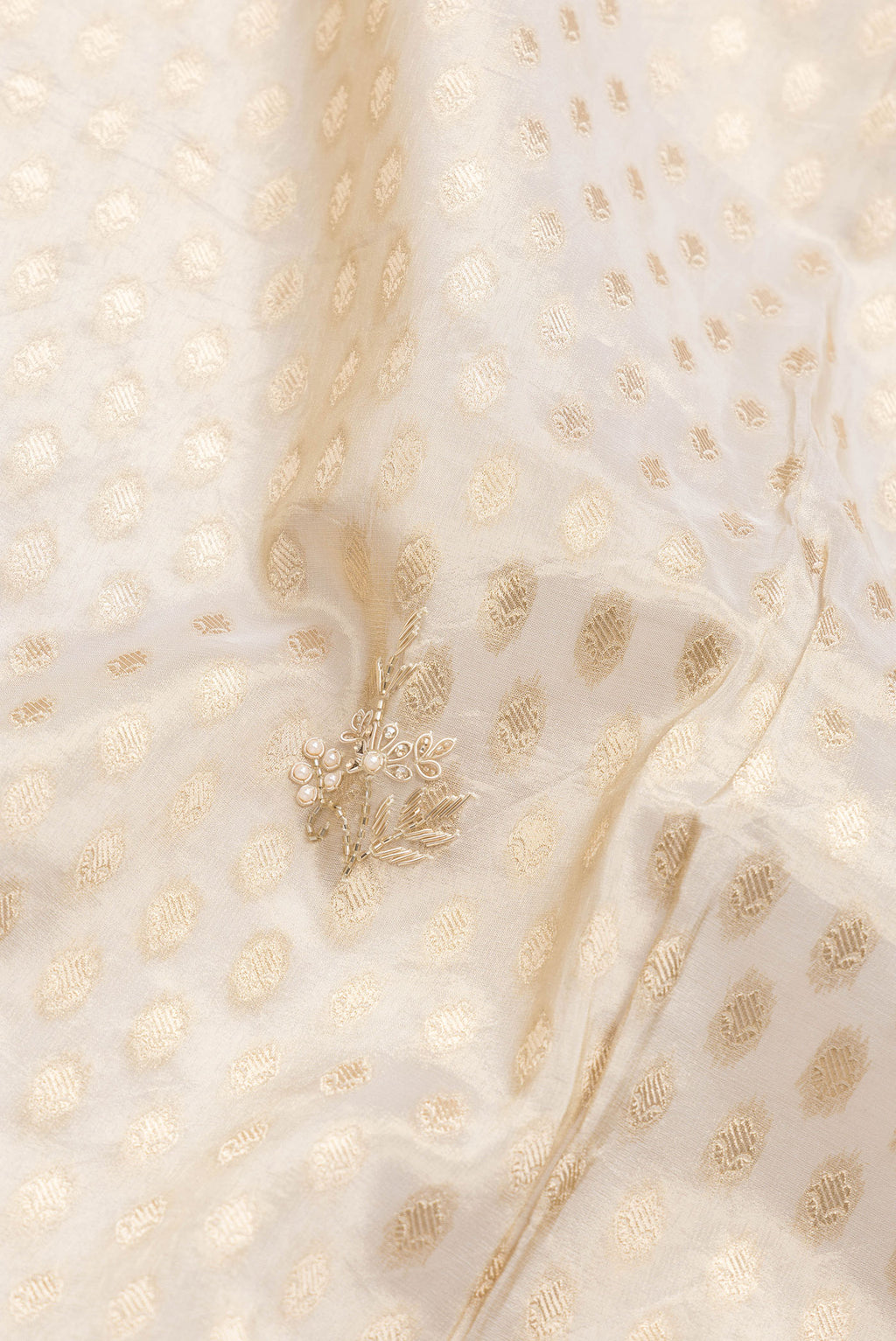 Close up of Beige Dual Tone Organza Silk Saree with Zari Brocade on the body and Embroidery Border.  displaying folds