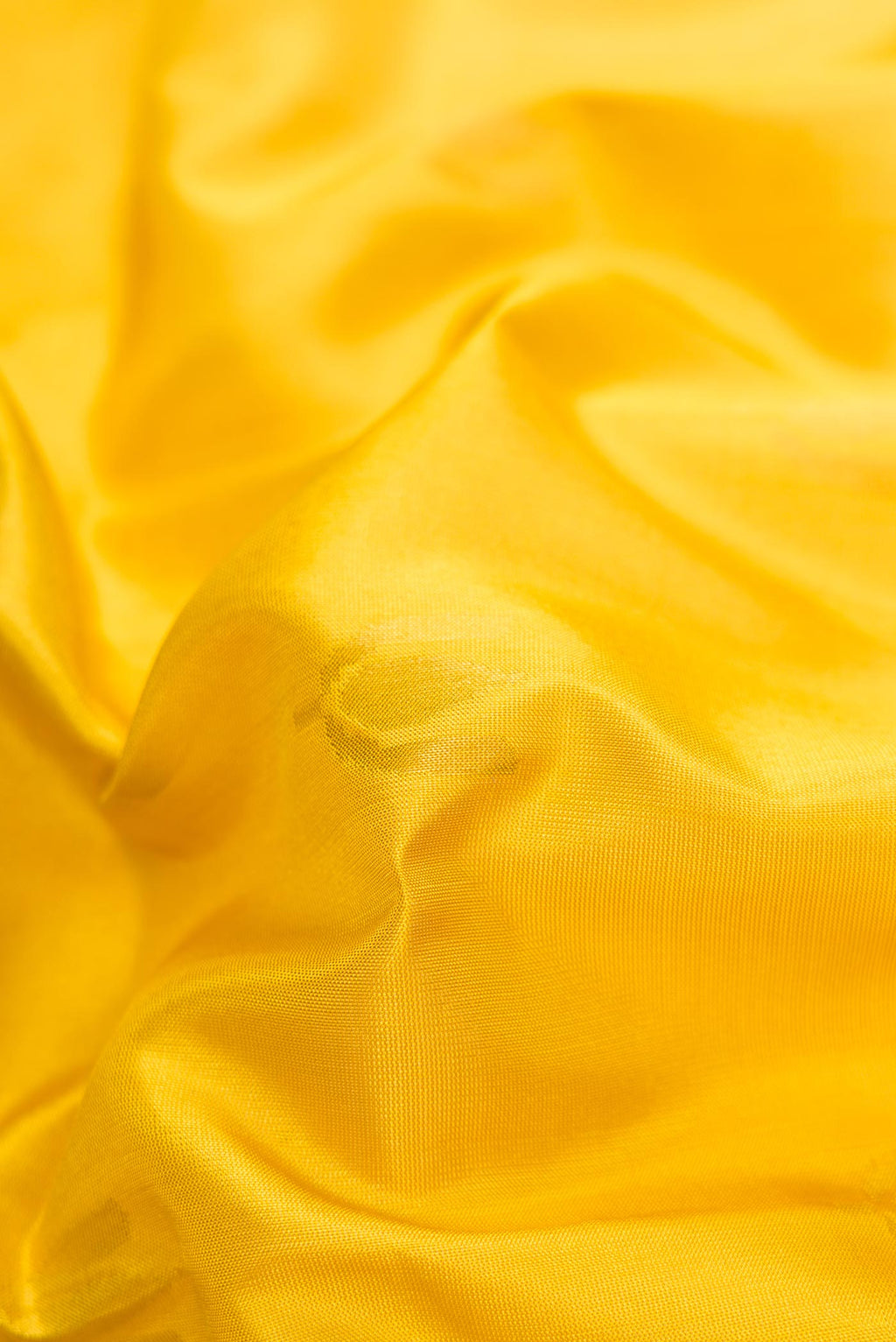 Close up of Mustard Dual Tone Uppada Silk Saree with Zari Butta on the body and Zari Border.  displaying folds