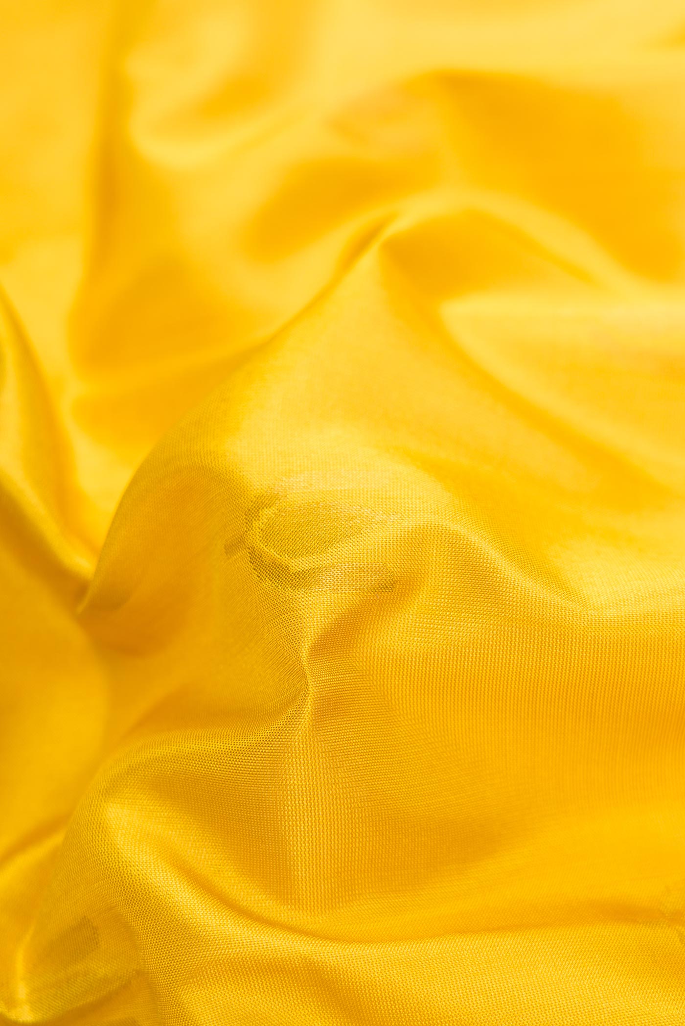 Close up of Mustard Dual Tone Uppada Silk Saree with Zari Butta on the body and Zari Border.  displaying folds