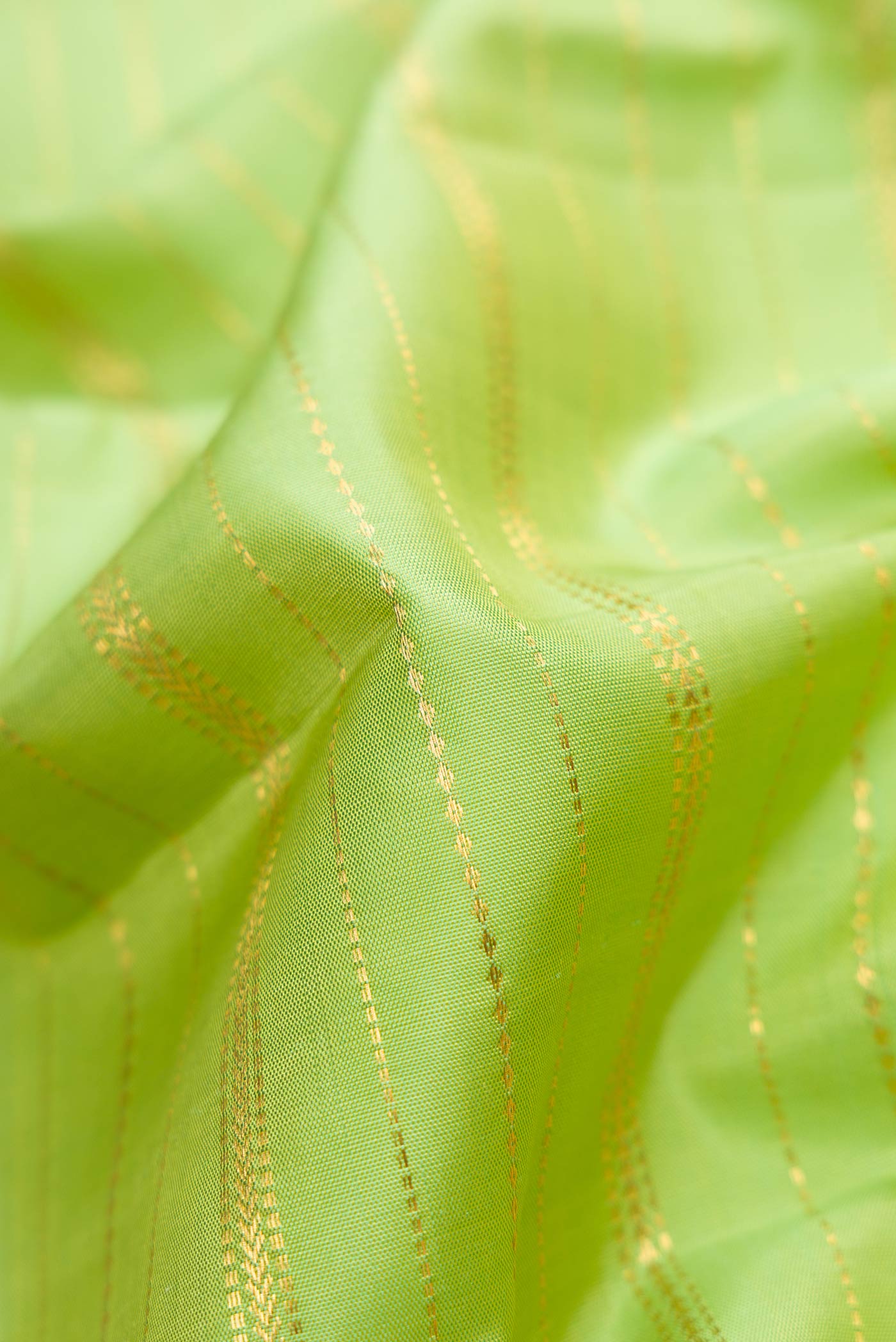 Close up of Parrot Green Dual Tone Kanchipuram Silk Saree with Stripes on the body and Zari Border.  displaying folds