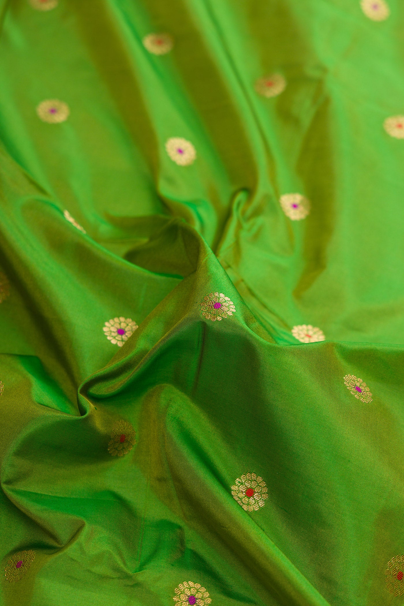 Close up of Parrot Green Dual Tone Paithani Silk Saree with Zari And Thread Butta on the body and Zari Border.  displaying folds