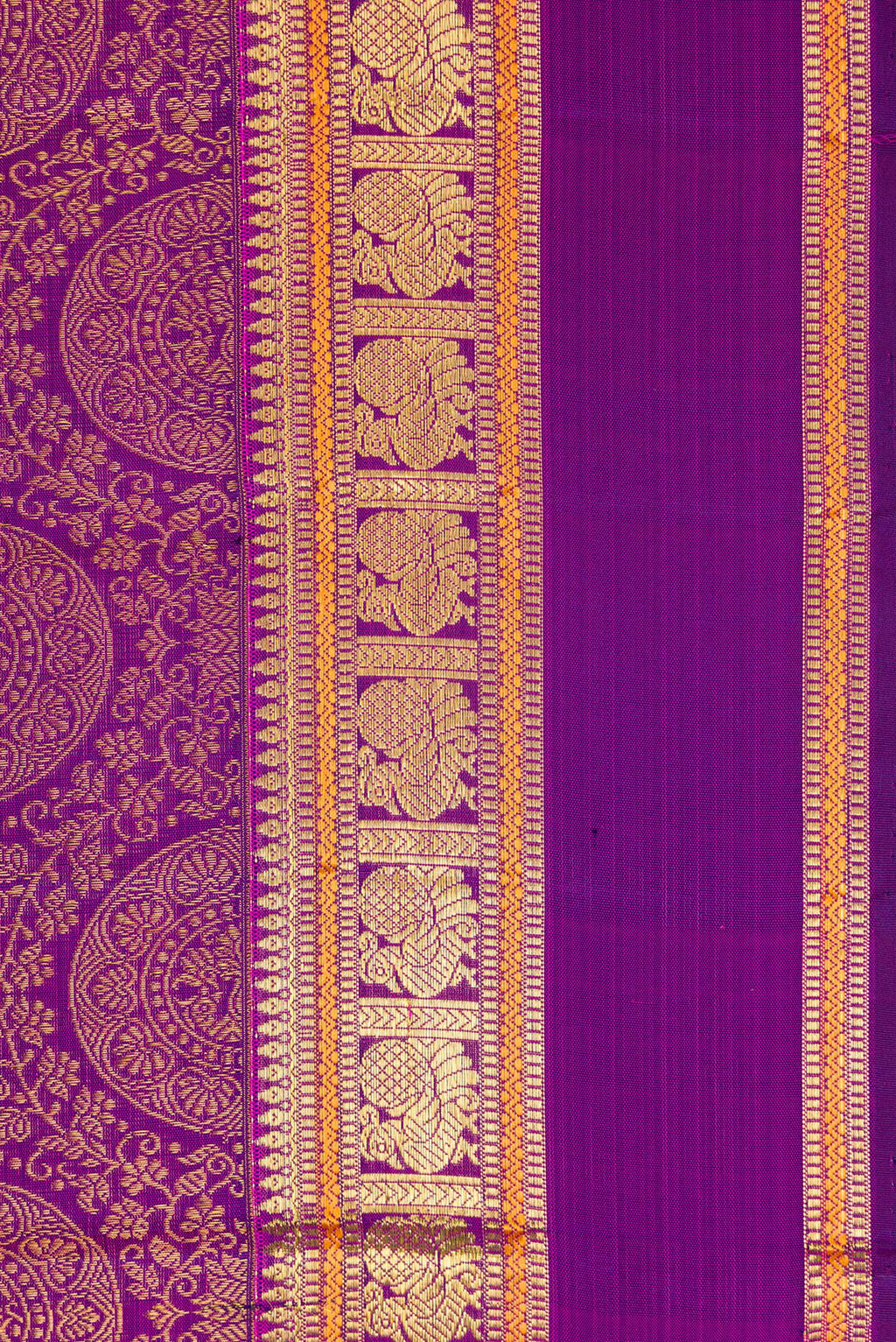 Border image of Purple Dual Tone Kanchipuram Silk Saree with Zari Brocade on the body and Zari Border. 