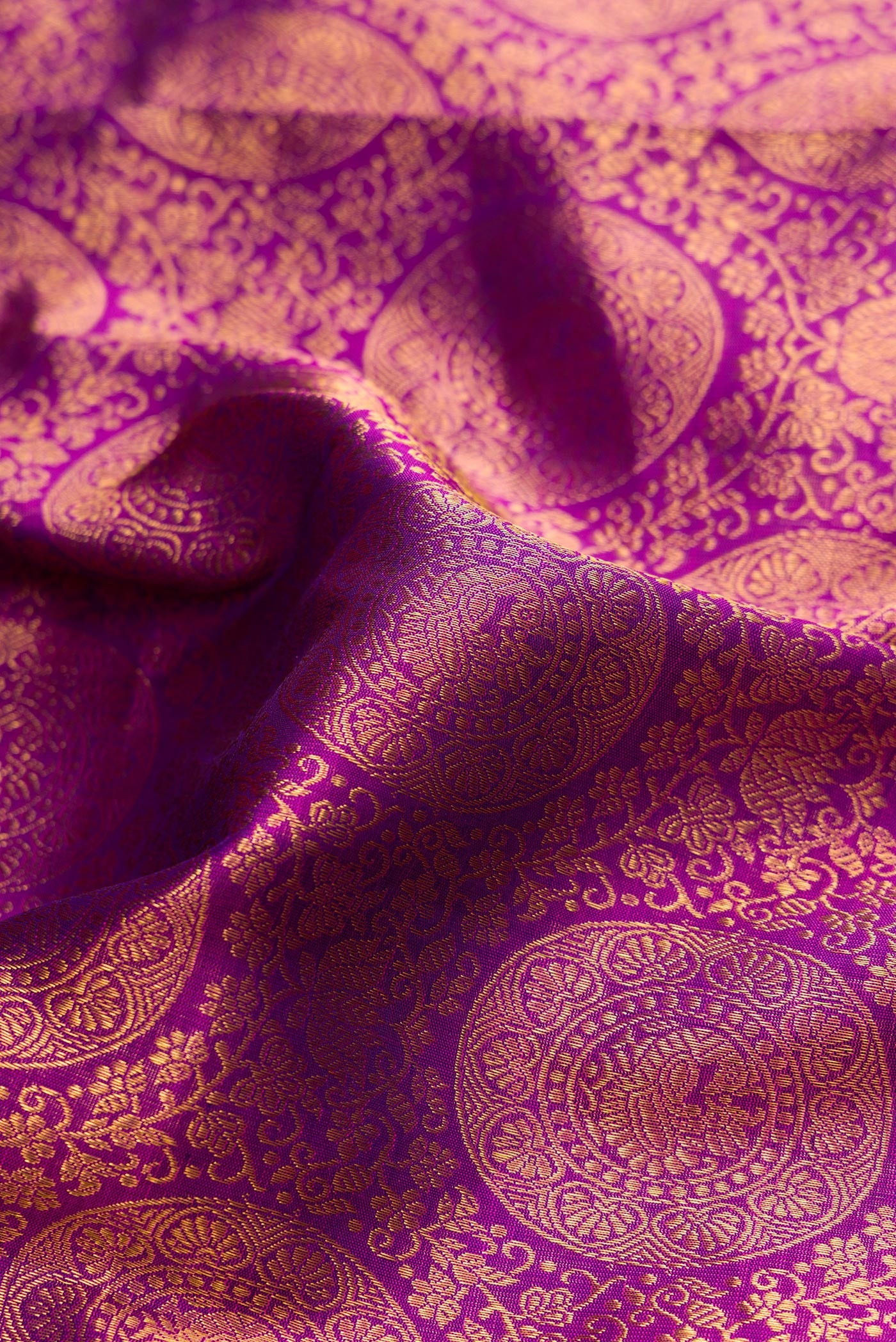 Close up of Purple Dual Tone Kanchipuram Silk Saree with Zari Brocade on the body and Zari Border.  displaying folds
