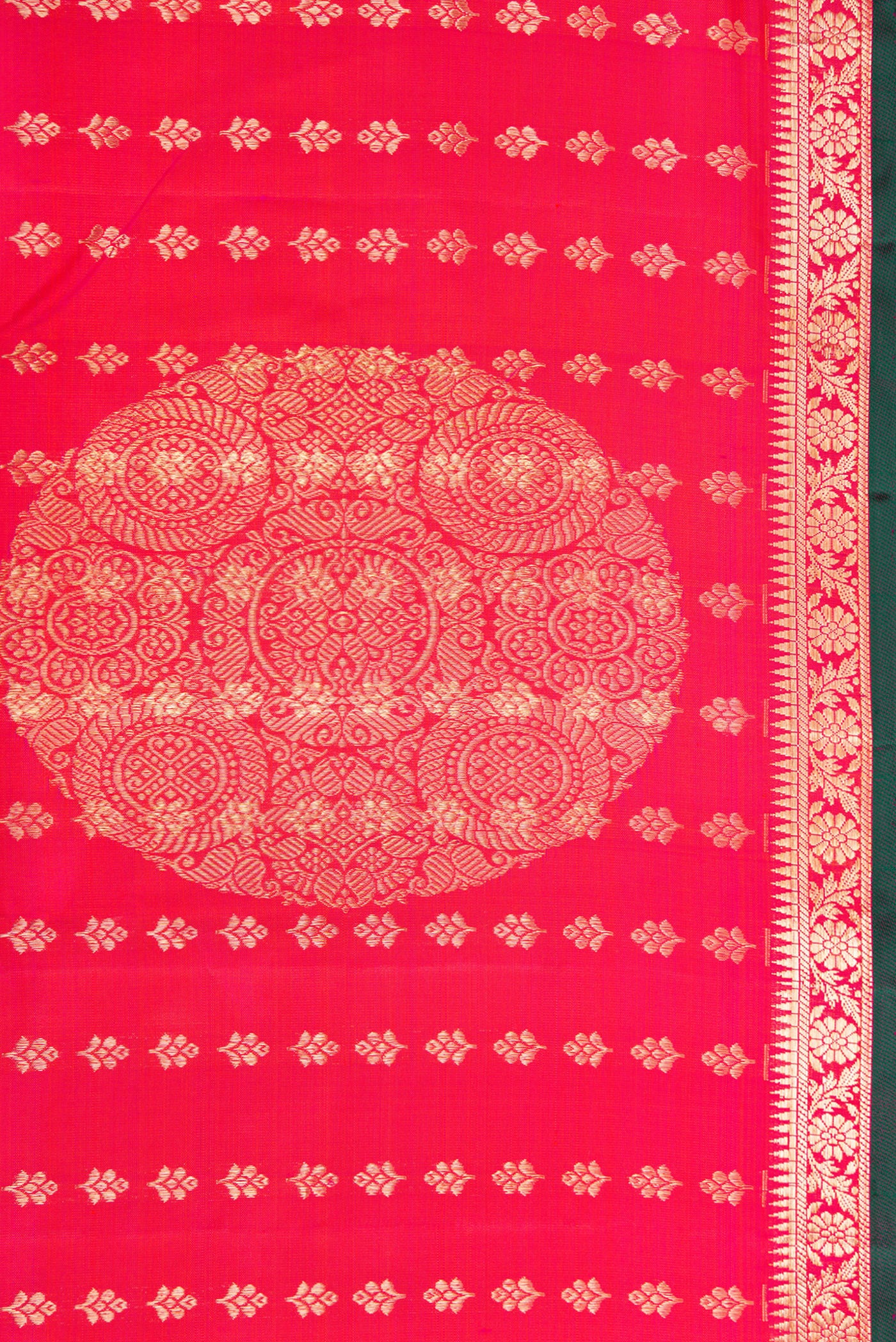 Border image of Coral Dual Tone Kanchipuram Silk Saree with Zari Brocade on the body and Zari Border. 