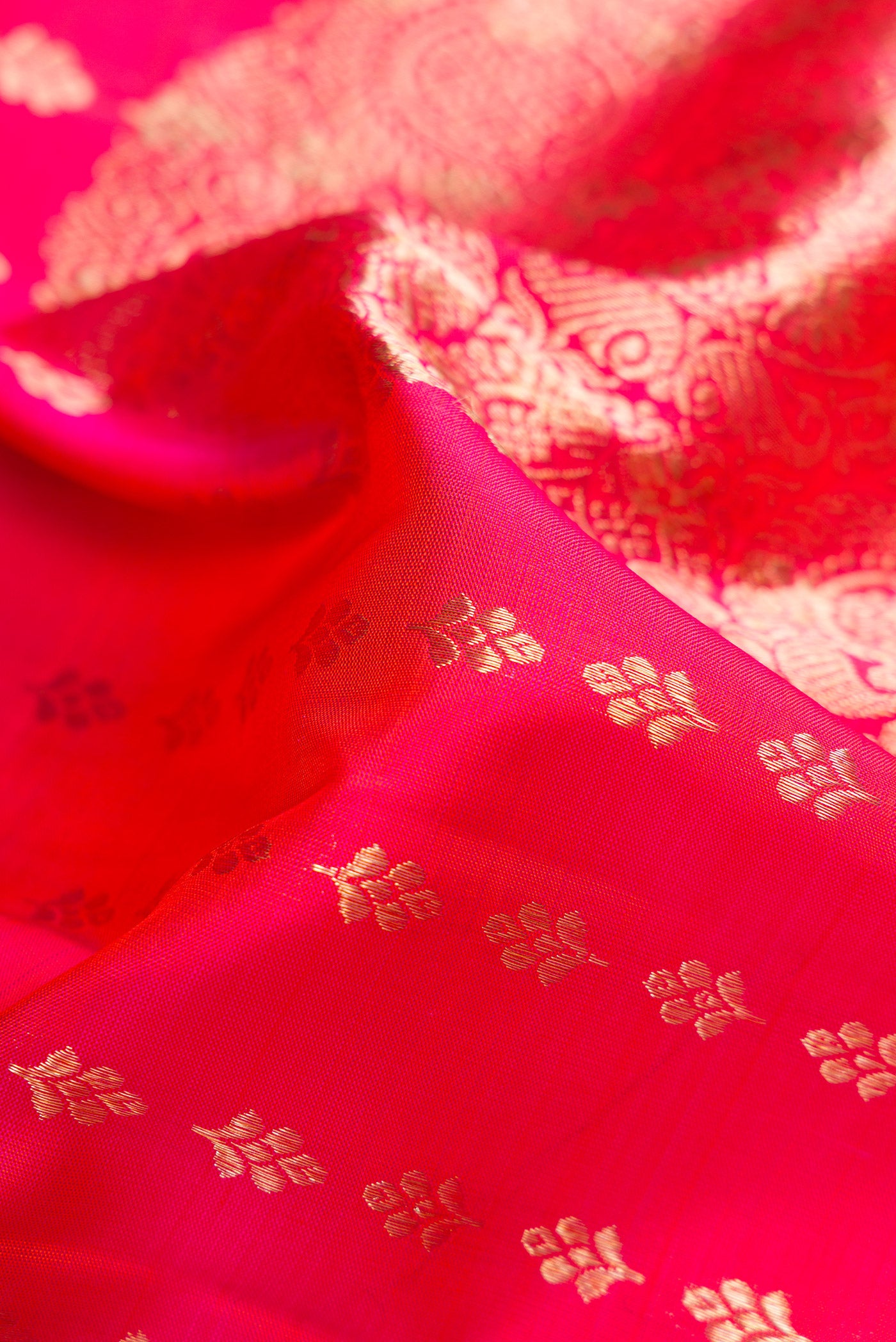 Close up of Coral Dual Tone Kanchipuram Silk Saree with Zari Brocade on the body and Zari Border.  displaying folds