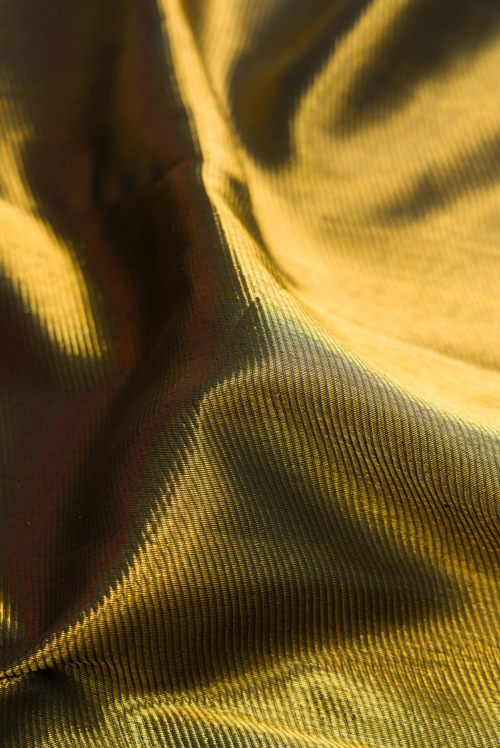 Close up of Bottle Green Dual Tone Kanchipuram Silk Saree with Zari Brocade on the body and Fancy Border.  displaying folds