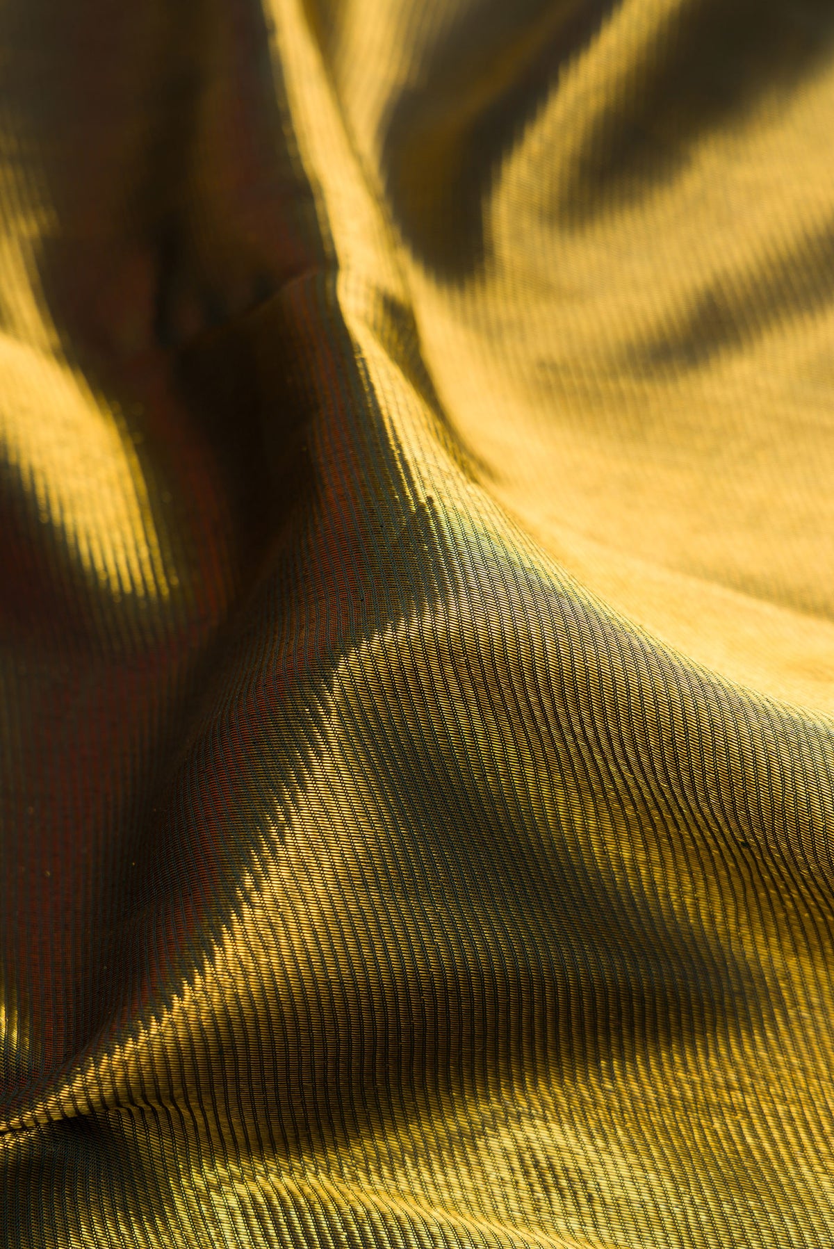 Close up of Bottle Green Dual Tone Kanchipuram Silk Saree with Zari Brocade on the body and Fancy Border.  displaying folds