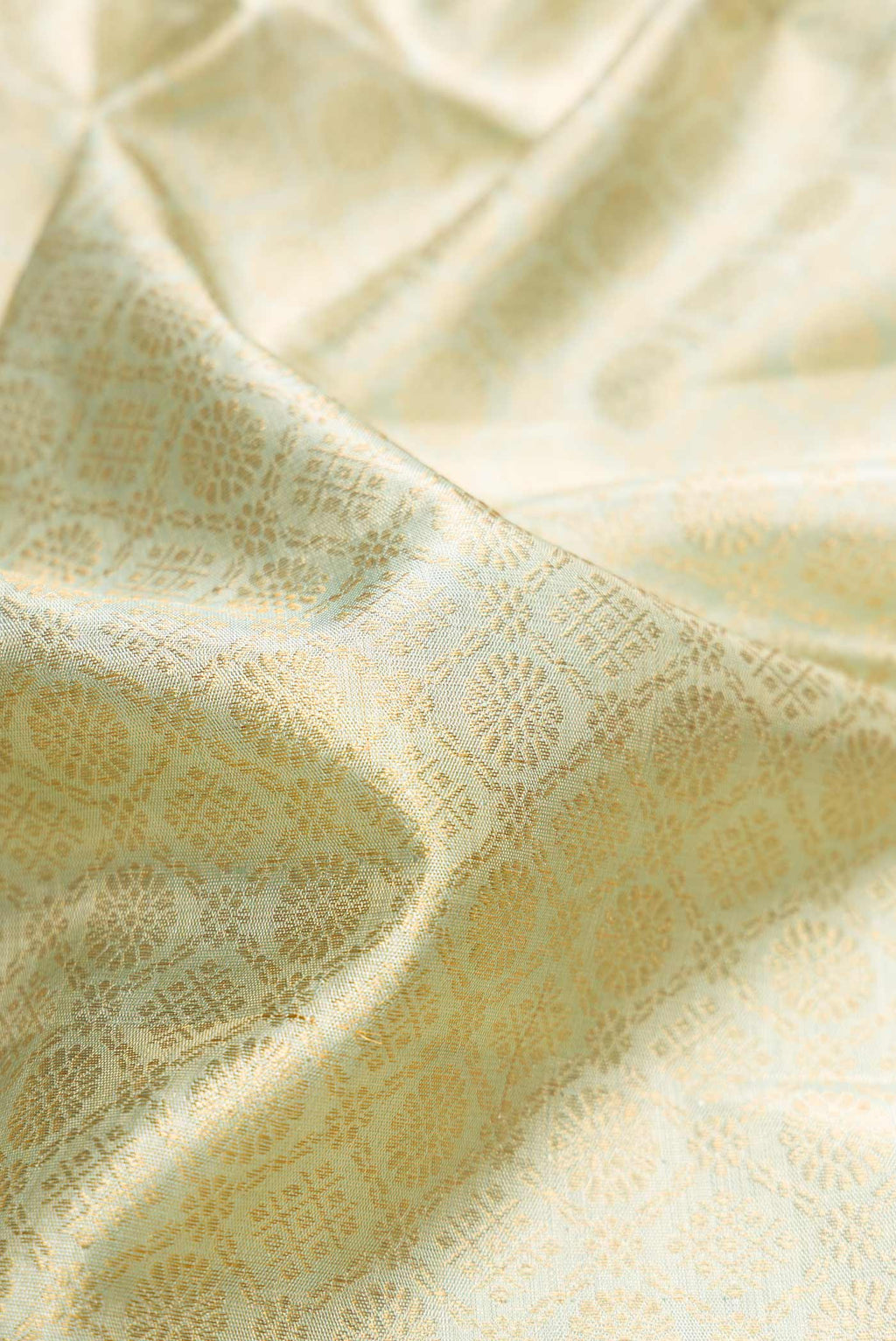 Close up of Light Green Dual Tone Kanjivaram Tissue Silk Saree with Zari Brocade on the body and Zari Border.  displaying folds