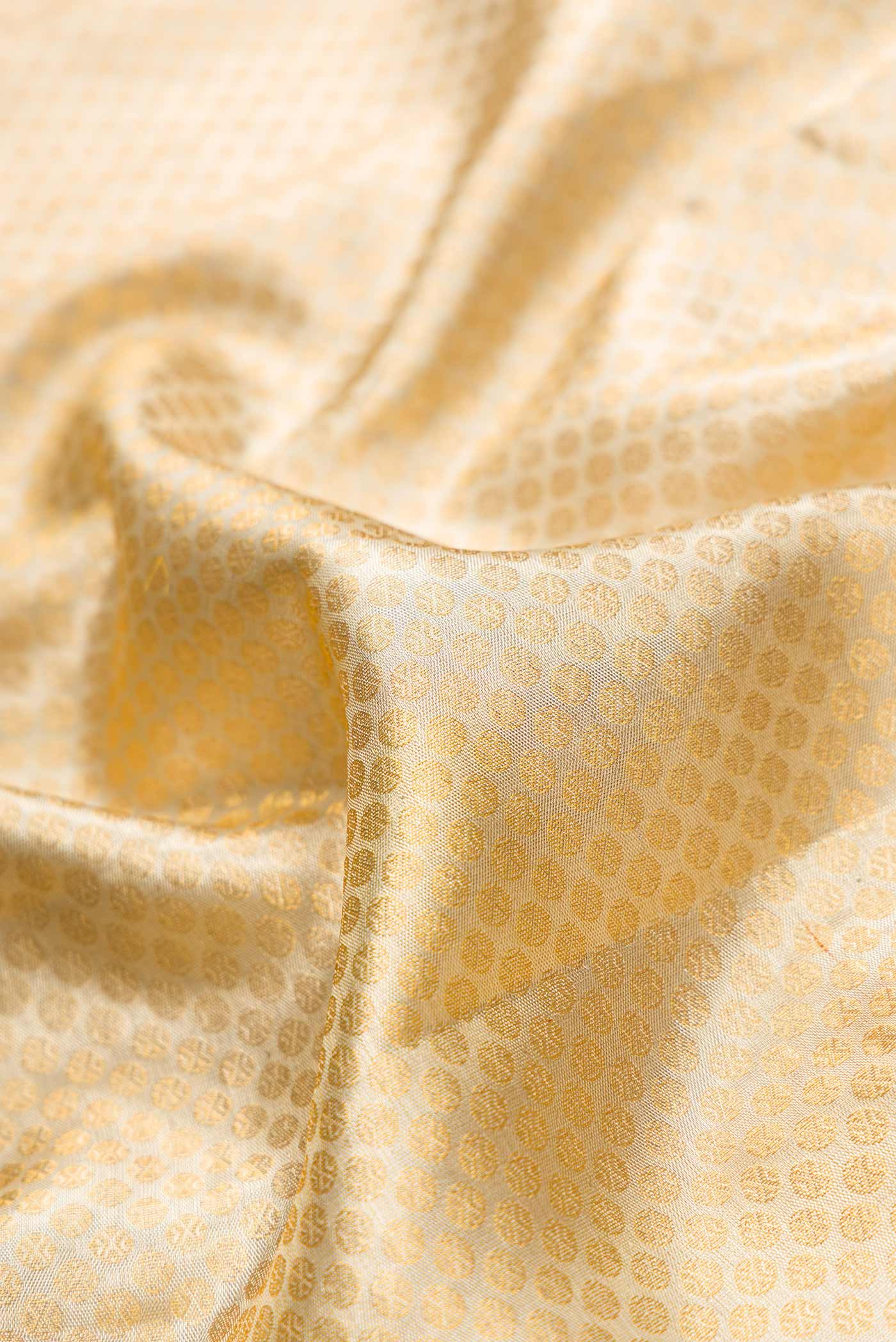 Close up of Gold Dual Tone Kanjivaram Tissue Silk Saree with Zari Brocade on the body and Zari Border.  displaying folds