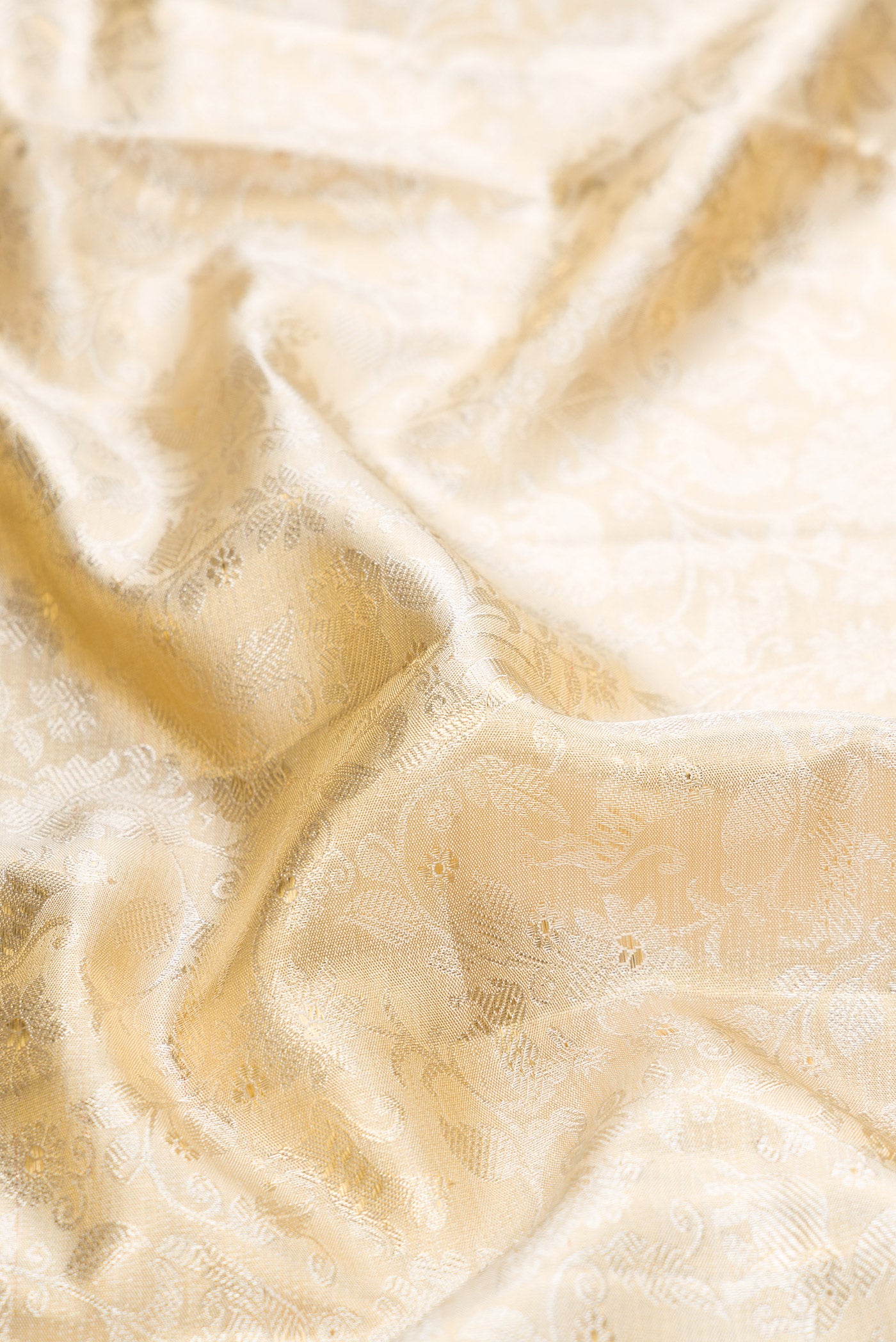 Close up of Gold Dual Tone Kanjivaram Tissue Silk Saree with Zari Brocade on the body and Zari Border.  displaying folds