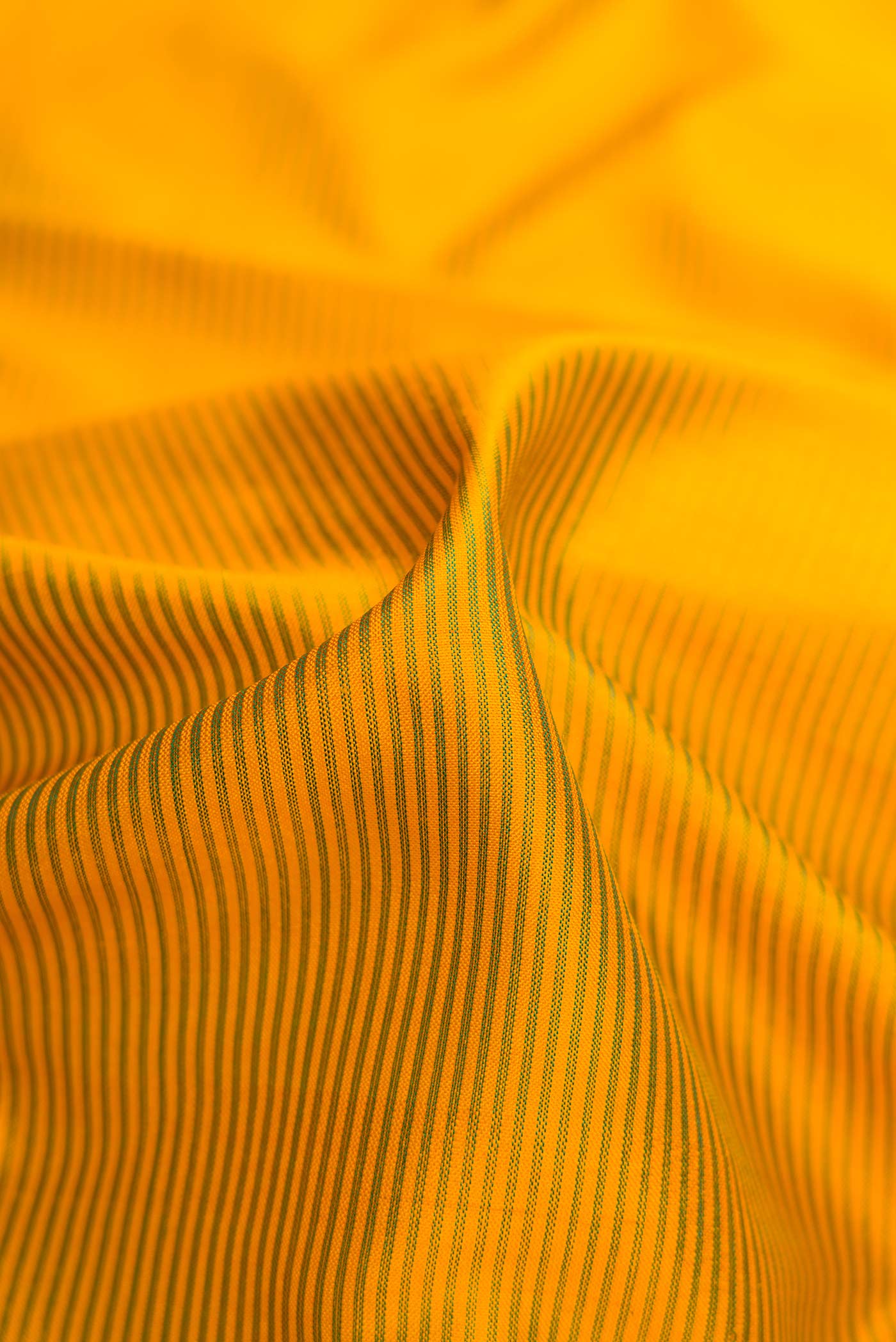 Close up of Mustard Dual Tone Maheshwari Silk Saree with Stripes on the body and Zari Border.  displaying folds