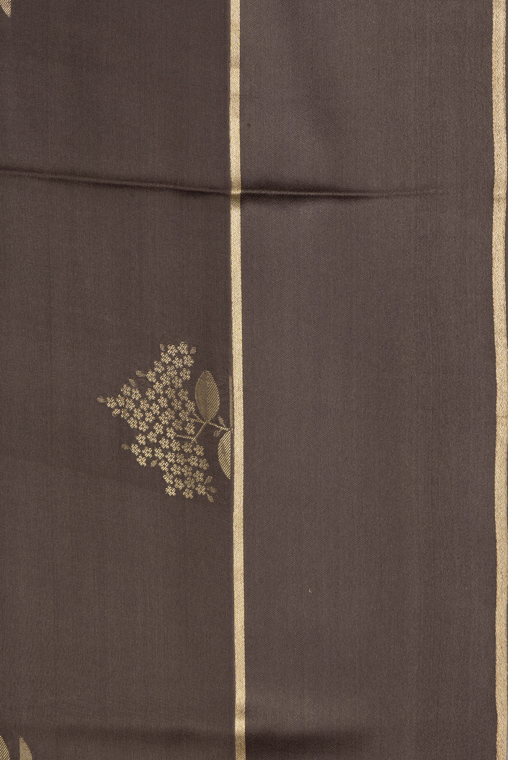 Border image of Brown Dual Tone Mysore Crepe Saree with Zari Butta on the body and Zari Border. 