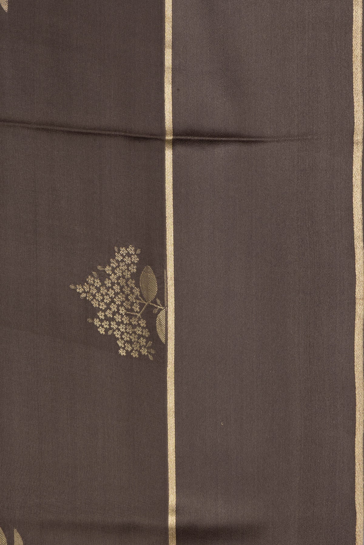 Border image of Brown Dual Tone Mysore Crepe Saree with Zari Butta on the body and Zari Border. 