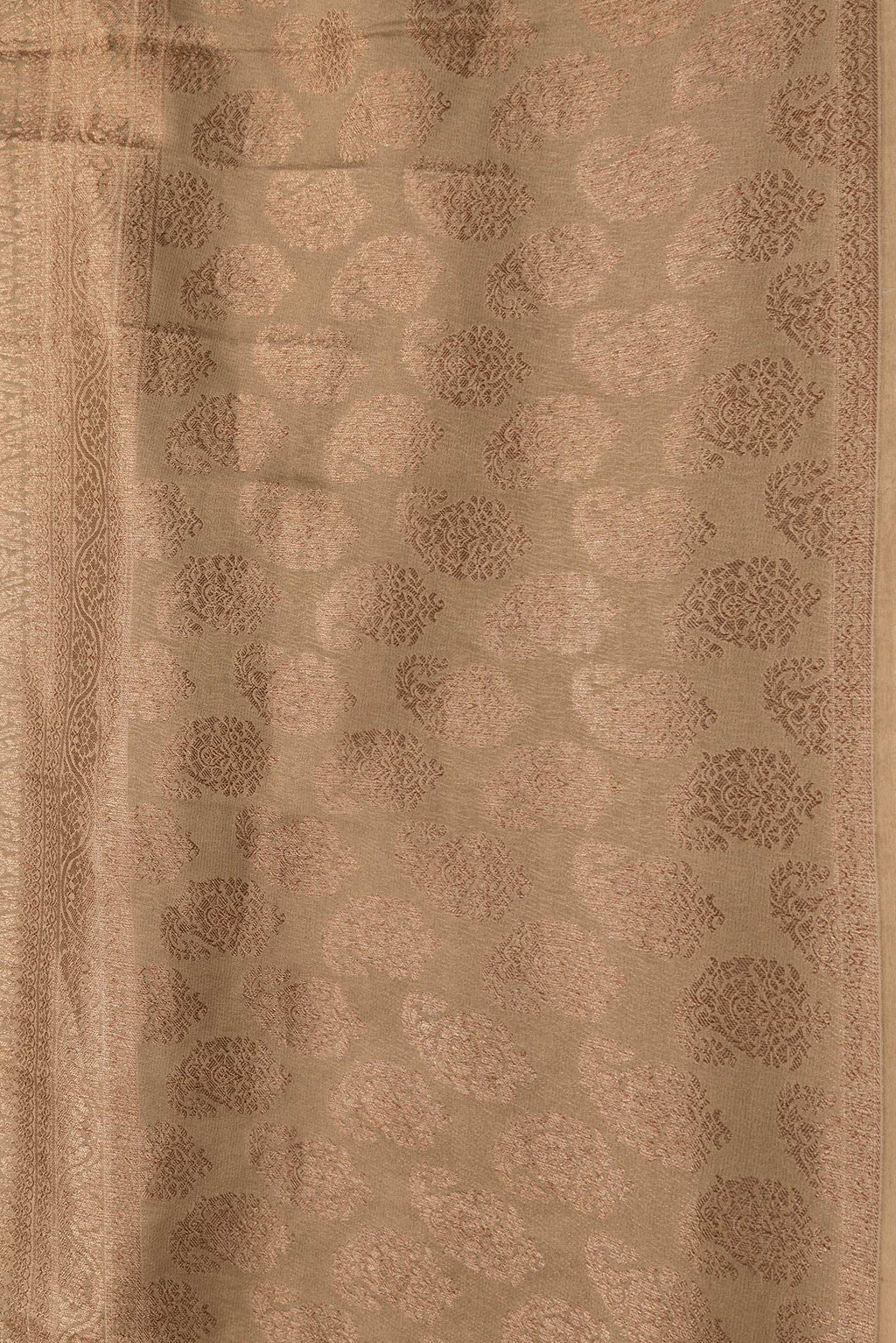 Border image of Dark Beige Dual Tone Georgette Saree with Zari Brocade on the body and Fancy Border. 