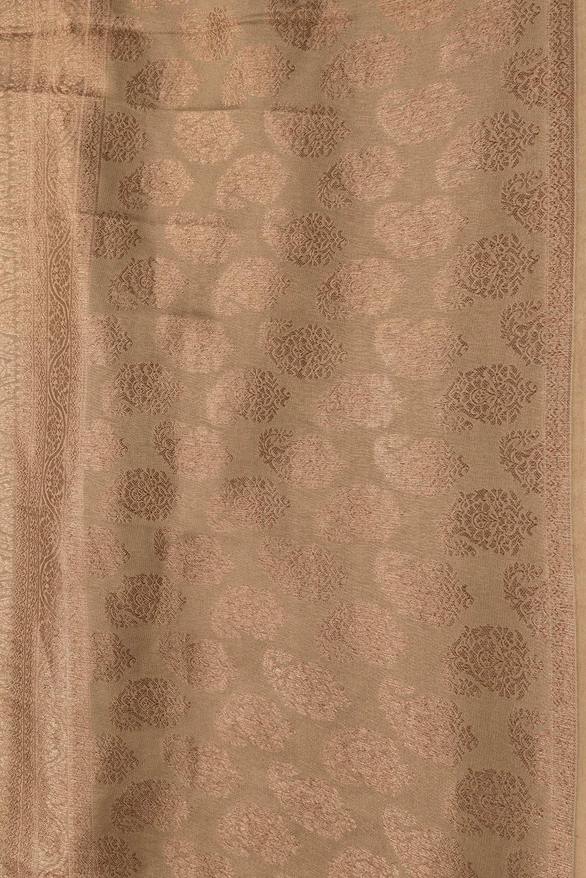 Border image of Dark Beige Dual Tone Georgette Saree with Zari Brocade on the body and Fancy Border. 