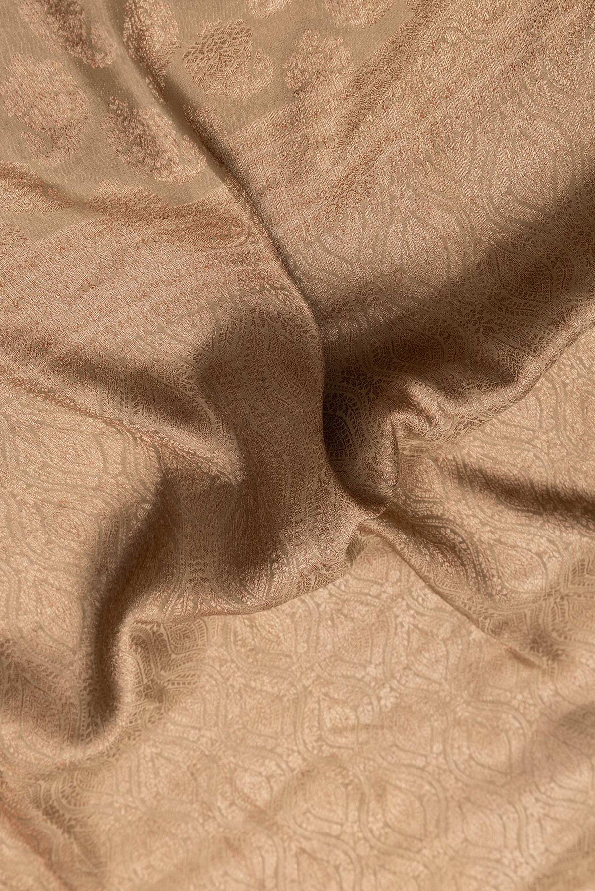 Close up of Dark Beige Dual Tone Georgette Saree with Zari Brocade on the body and Fancy Border.  displaying folds