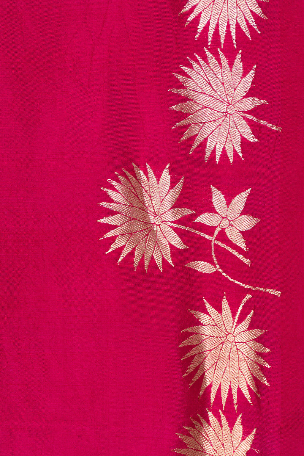 Border image of Dark Pink Dual Tone Tussar Silk Saree with Zari Butta on the body and Fancy Border. 