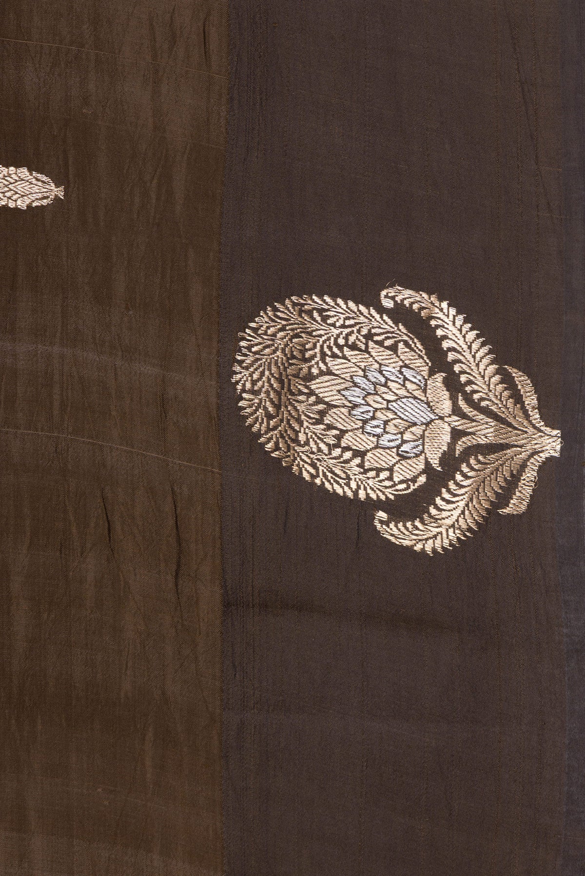 Border image of Brown Dual Tone Tussar Silk Saree with Zari Butta on the body and Fancy Border. 