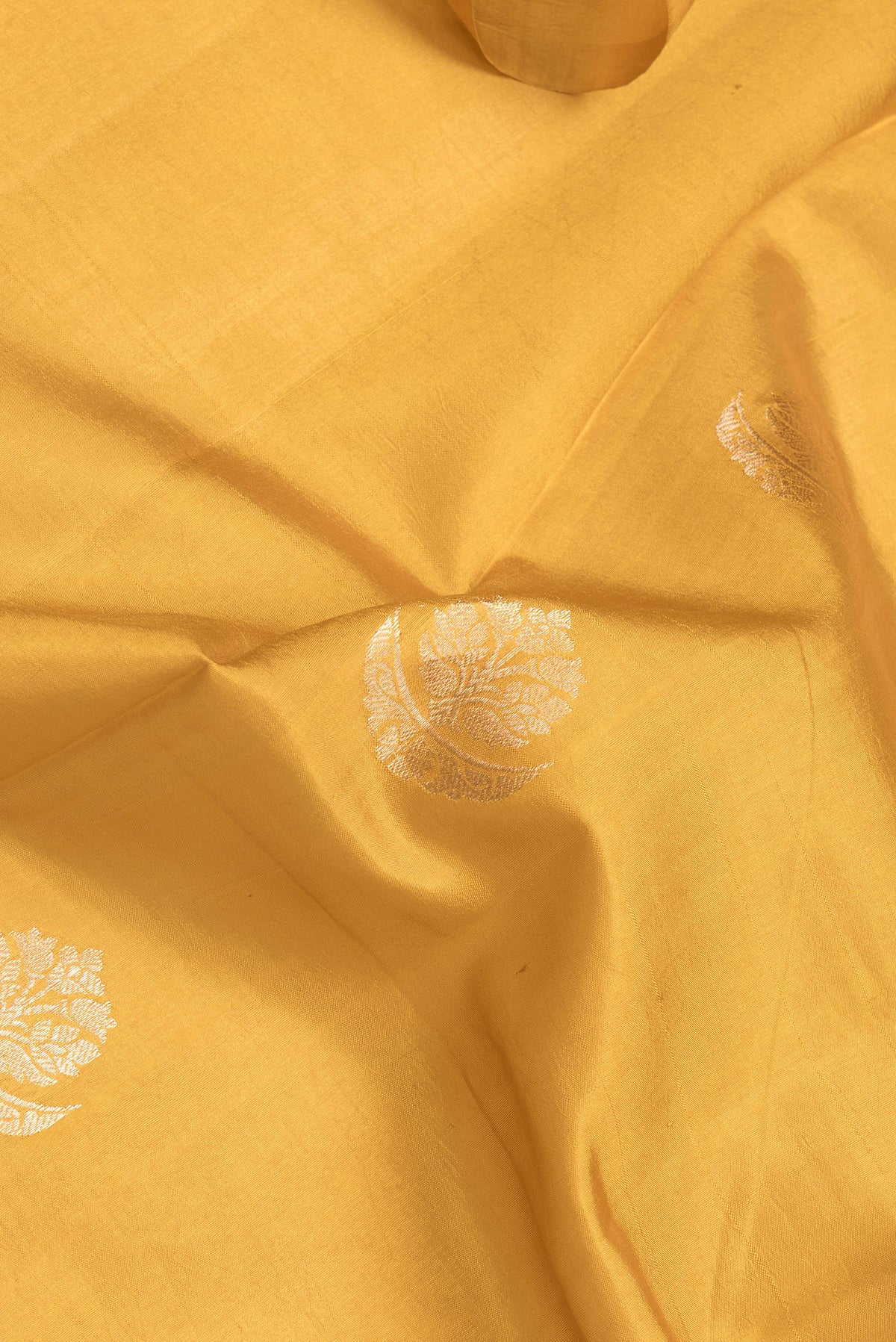 Close up of Mustard Dual Tone Tussar Silk Saree with Zari Butta on the body and Fancy Border.  displaying folds
