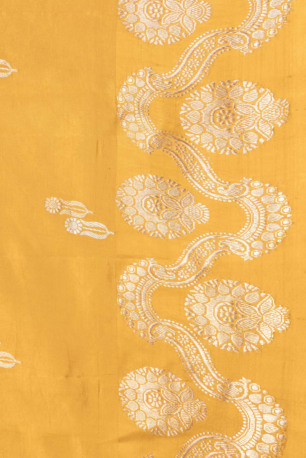 Border image of Mustard Dual Tone Tussar Silk Saree with Zari Butta on the body and Fancy Border. 