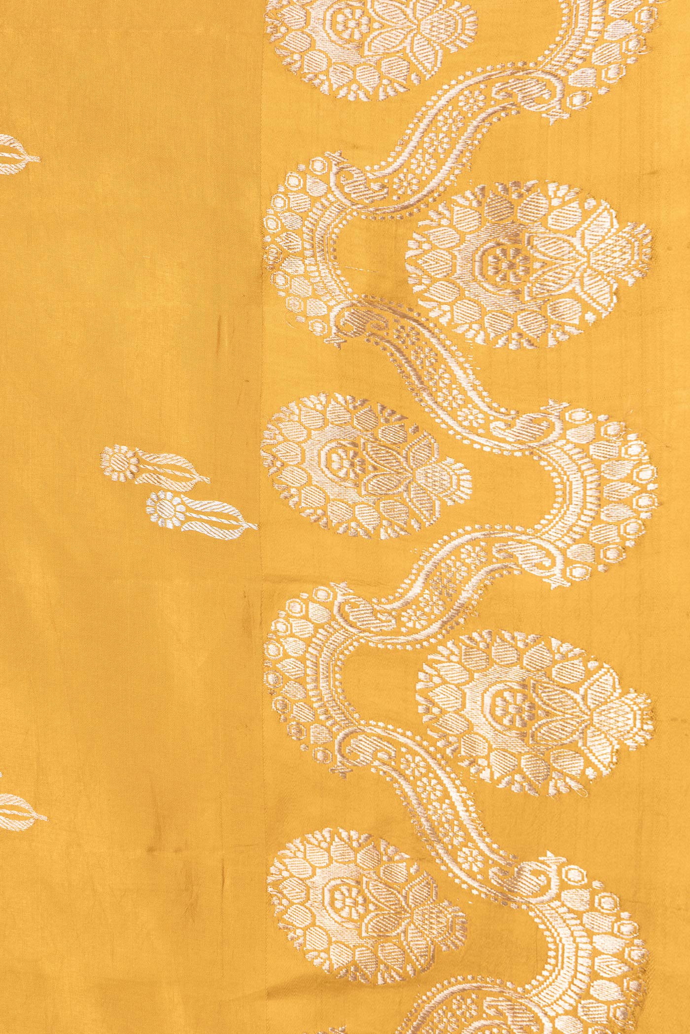 Border image of Mustard Dual Tone Tussar Silk Saree with Zari Butta on the body and Fancy Border. 