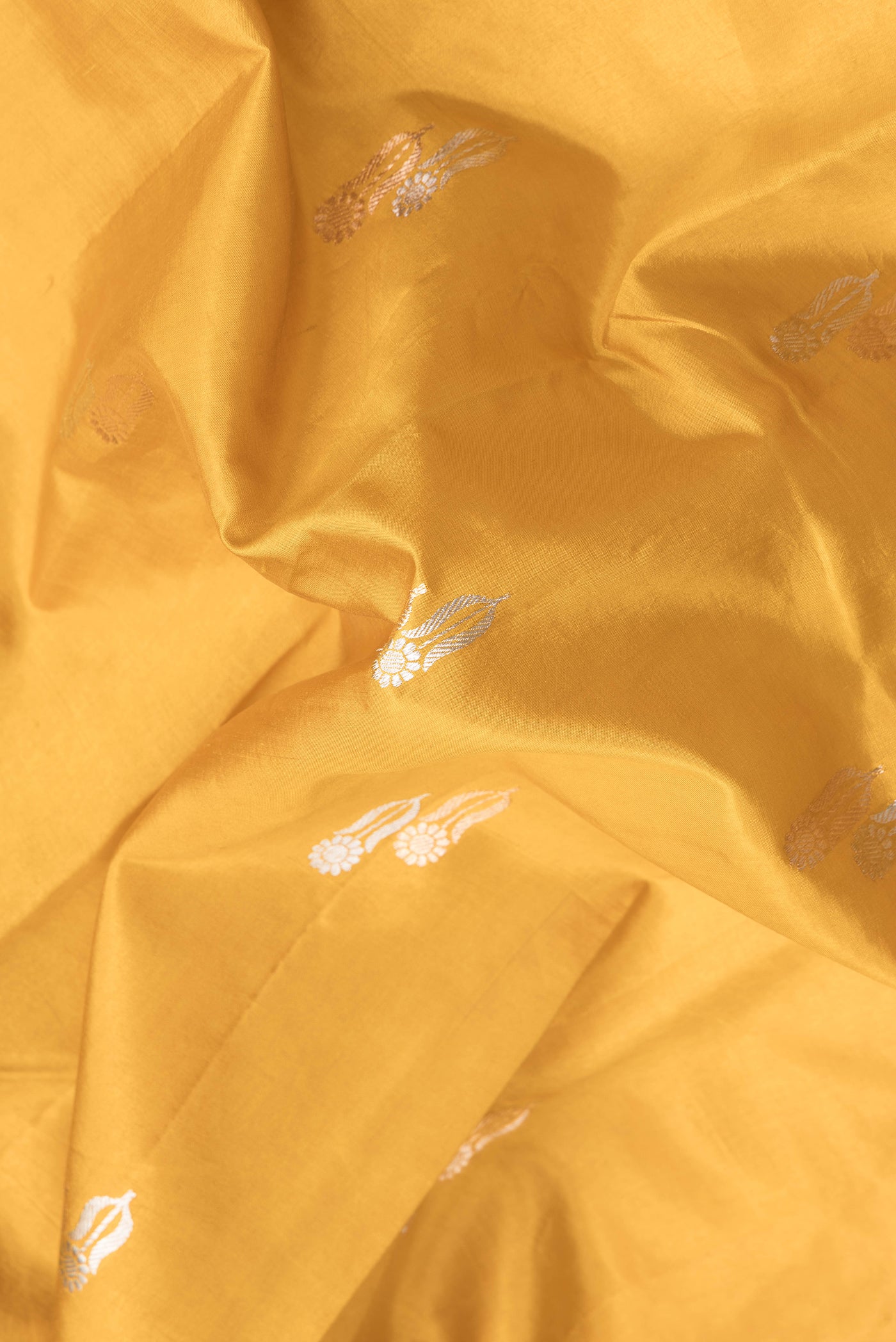 Close up of Mustard Dual Tone Tussar Silk Saree with Zari Butta on the body and Fancy Border.  displaying folds
