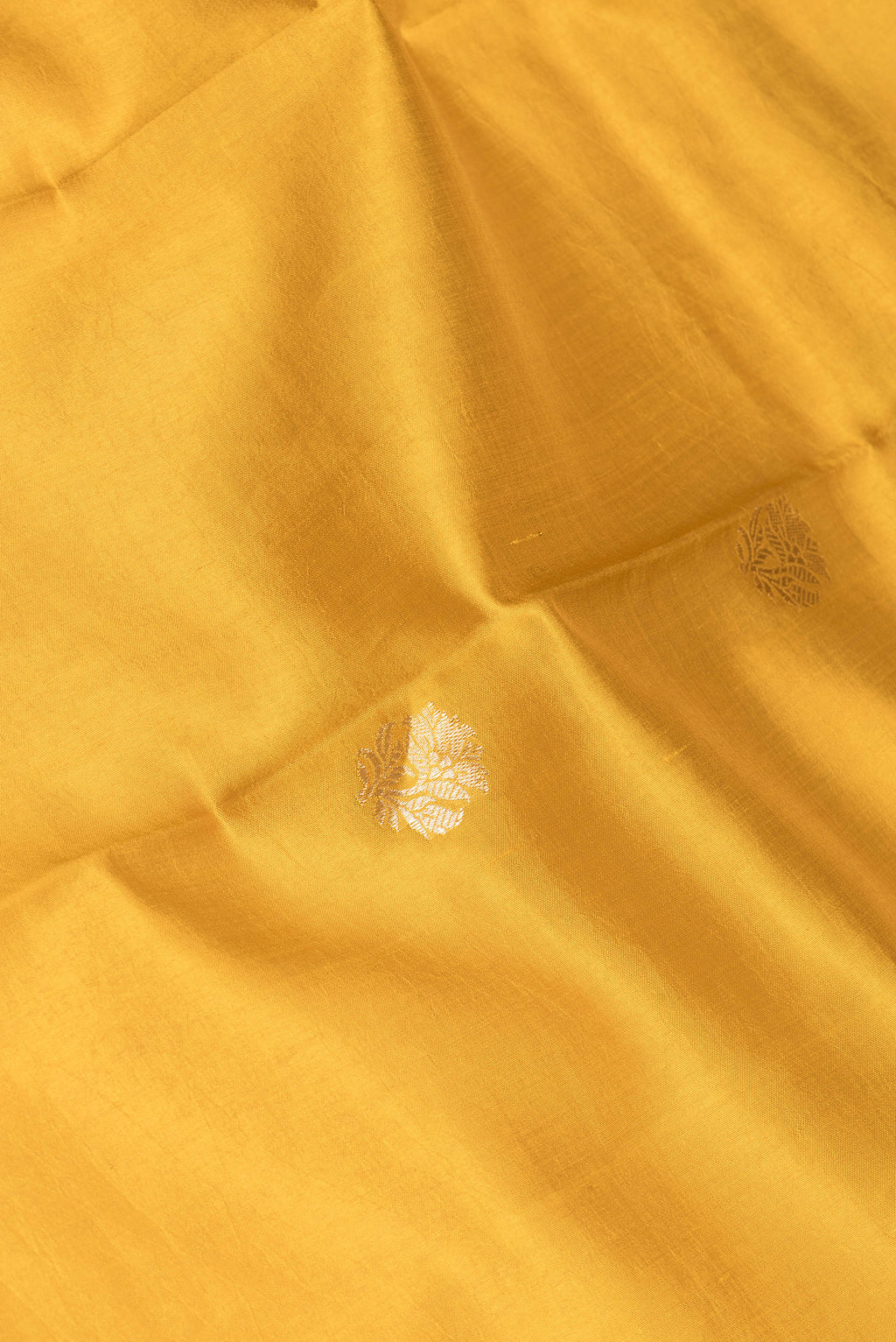 Close up of Mustard Dual Tone Tussar Silk Saree with Zari Butta on the body and Fancy Border.  displaying folds