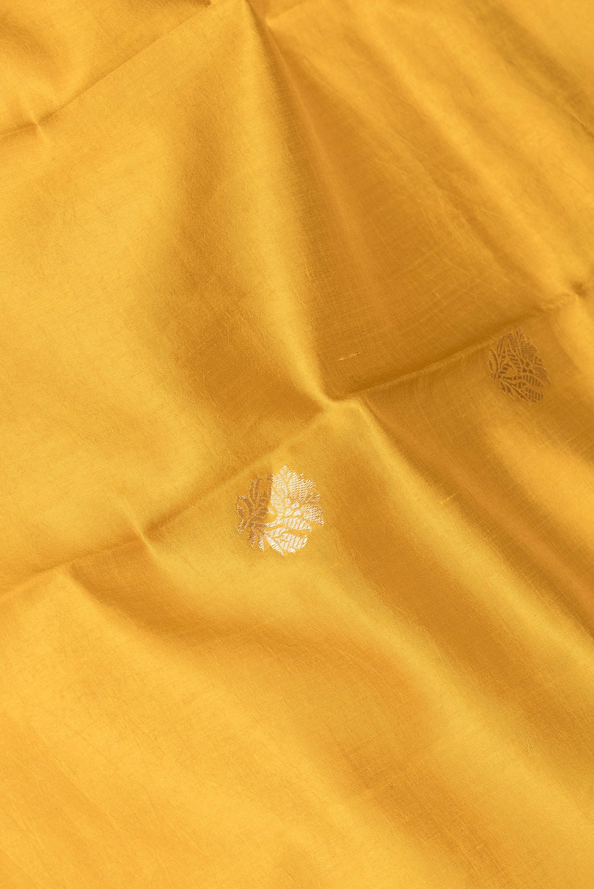 Close up of Mustard Dual Tone Tussar Silk Saree with Zari Butta on the body and Fancy Border.  displaying folds