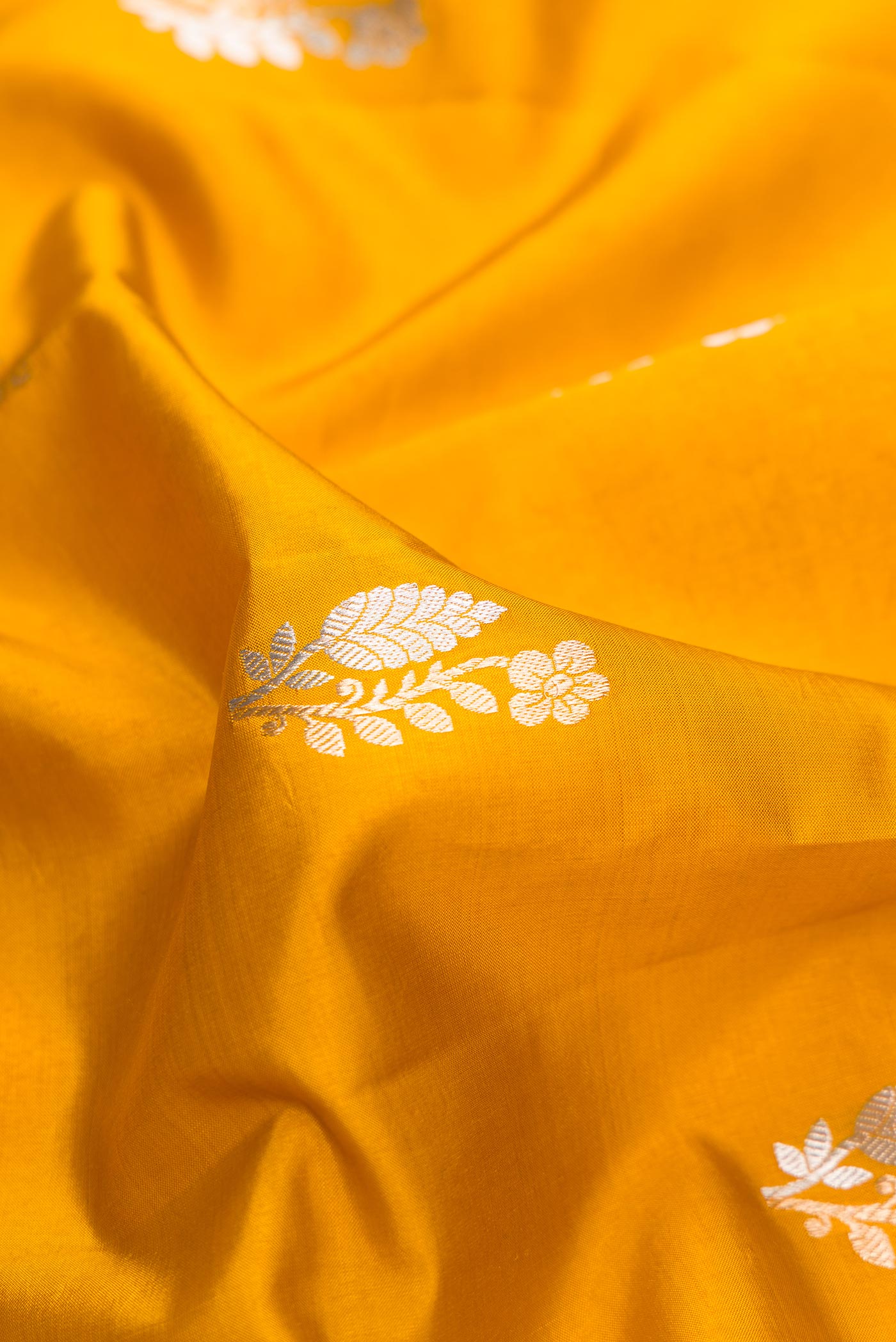 Close up of Mustard Dual Tone Tussar Silk Saree with Zari Butta on the body and Fancy Border.  displaying folds