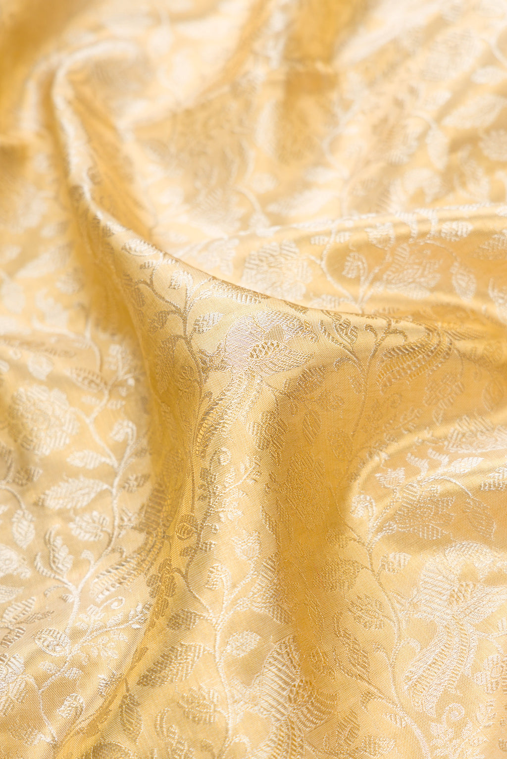 Close up of Gold Dual Tone Kanchipuram Tissue Silk Saree with Zari Brocade on the body and Fancy Border.  displaying folds
