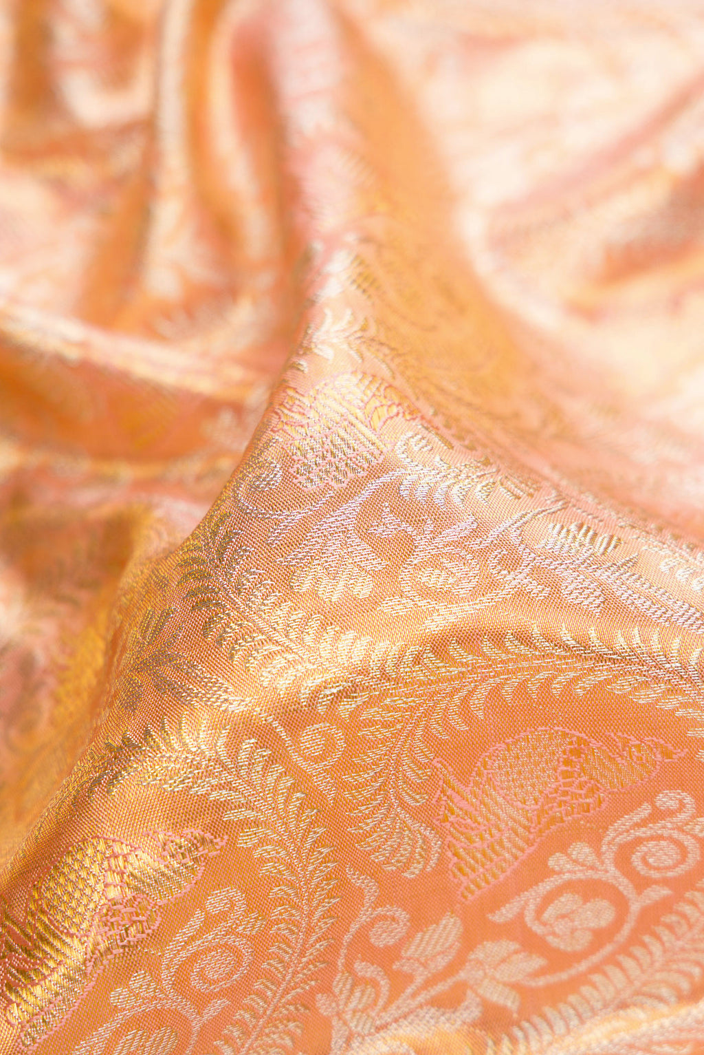 Close up of Golden Peach Dual Tone Kanchipuram Tissue Silk Saree with Zari Brocade on the body and Fancy Border.  displaying folds