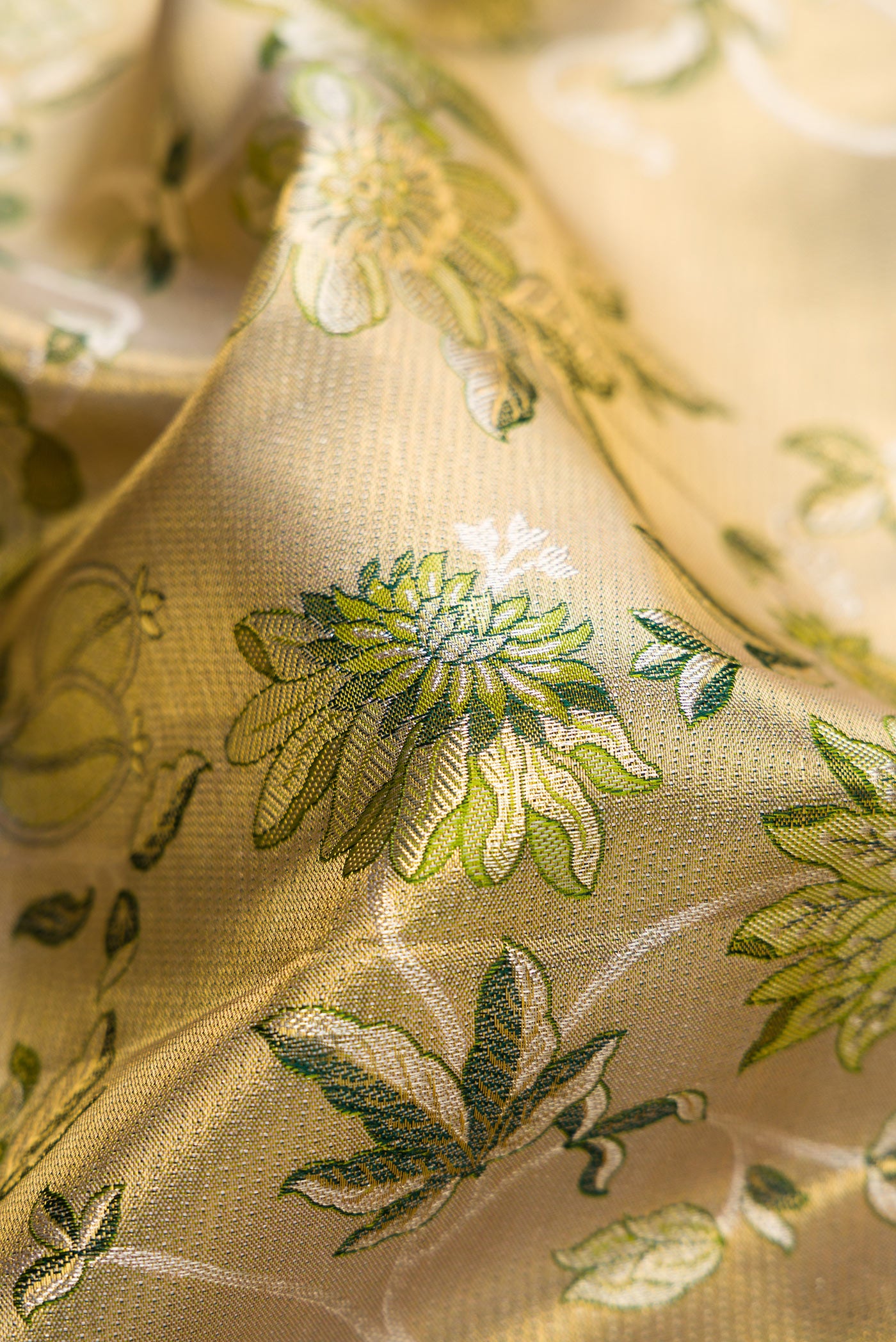 Close up of Pista Green Dual Tone Kanchipuram Tissue Silk Saree with Zari Brocade on the body and Fancy Border.  displaying folds