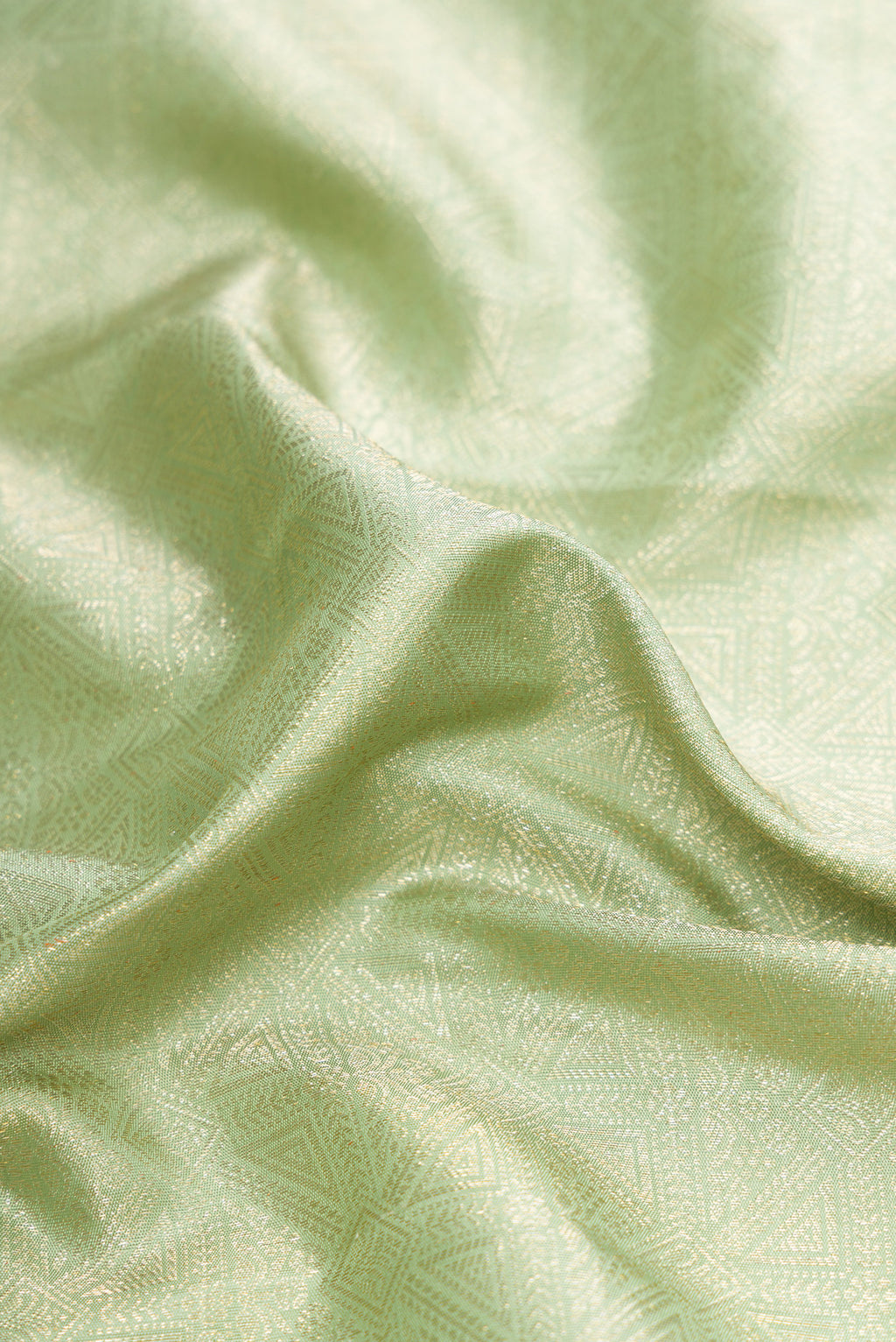 Close up of Light Green Dual Tone Kanchipuram Silk Saree with Zari Brocade on the body and Zari Border.  displaying folds
