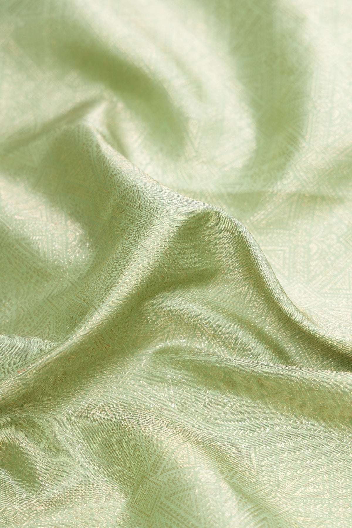 Close up of Light Green Dual Tone Kanchipuram Silk Saree with Zari Brocade on the body and Zari Border.  displaying folds
