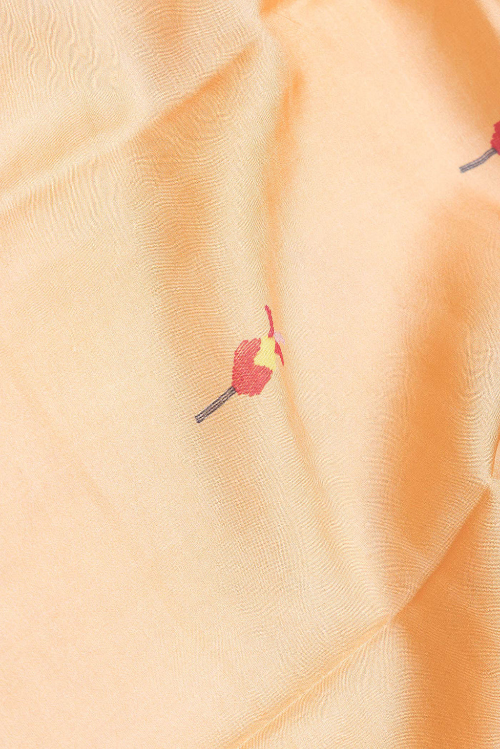 Close up of Sandal Dual Tone Tussar Silk Saree with Printed design on the body and Zari Border.  displaying folds