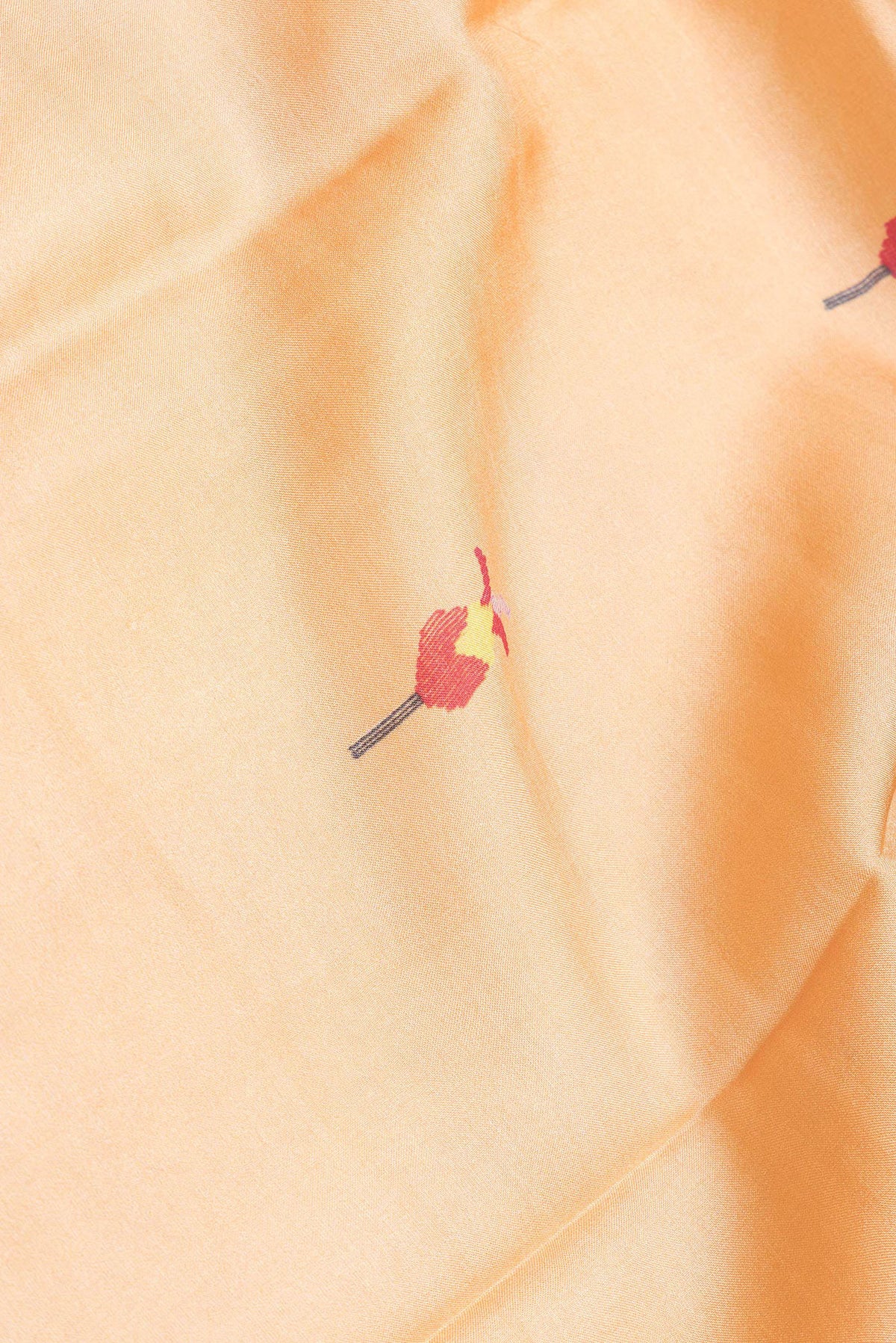 Close up of Sandal Dual Tone Tussar Silk Saree with Printed design on the body and Zari Border.  displaying folds