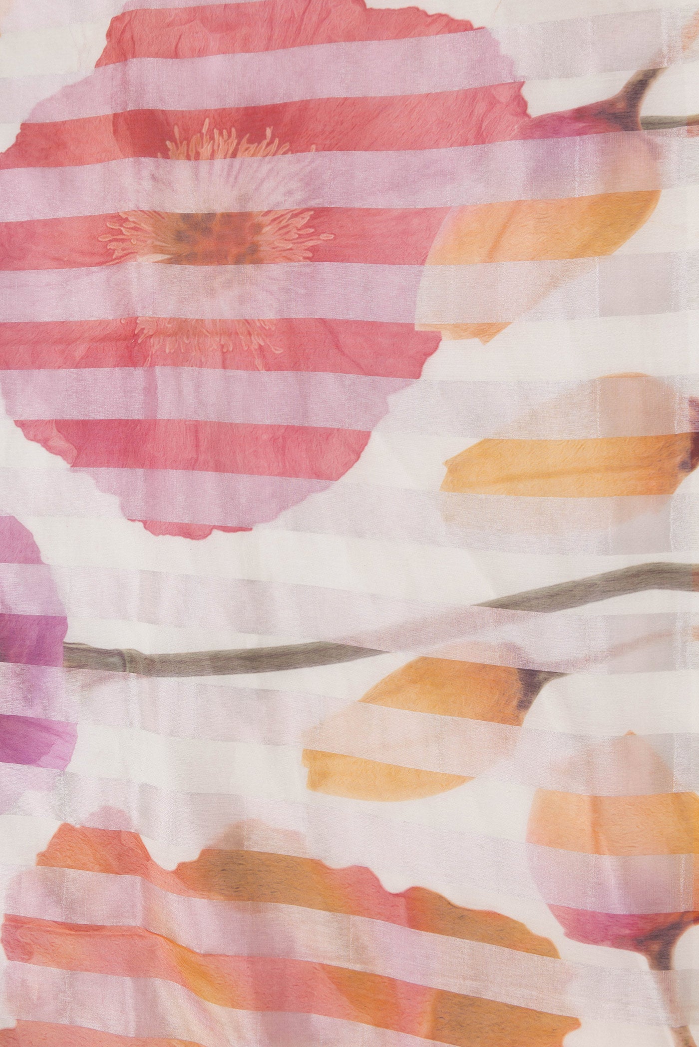 Border image of Beige Dual Tone Organza Silk Saree with Printed design on the body and Without Border. 