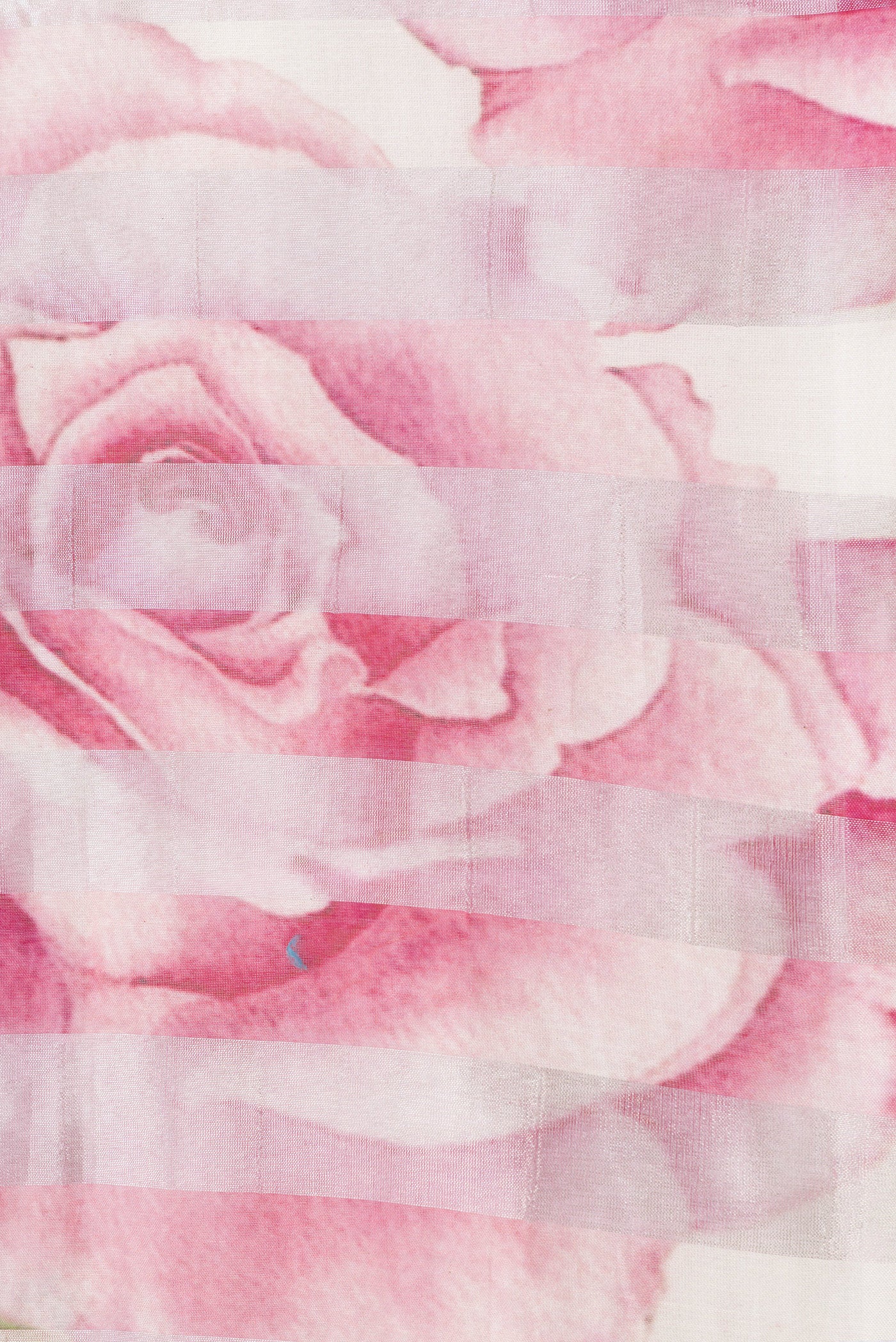 Border image of Pink and Off White Color Organza Silk Saree with Stripes on the body and Without Border. 