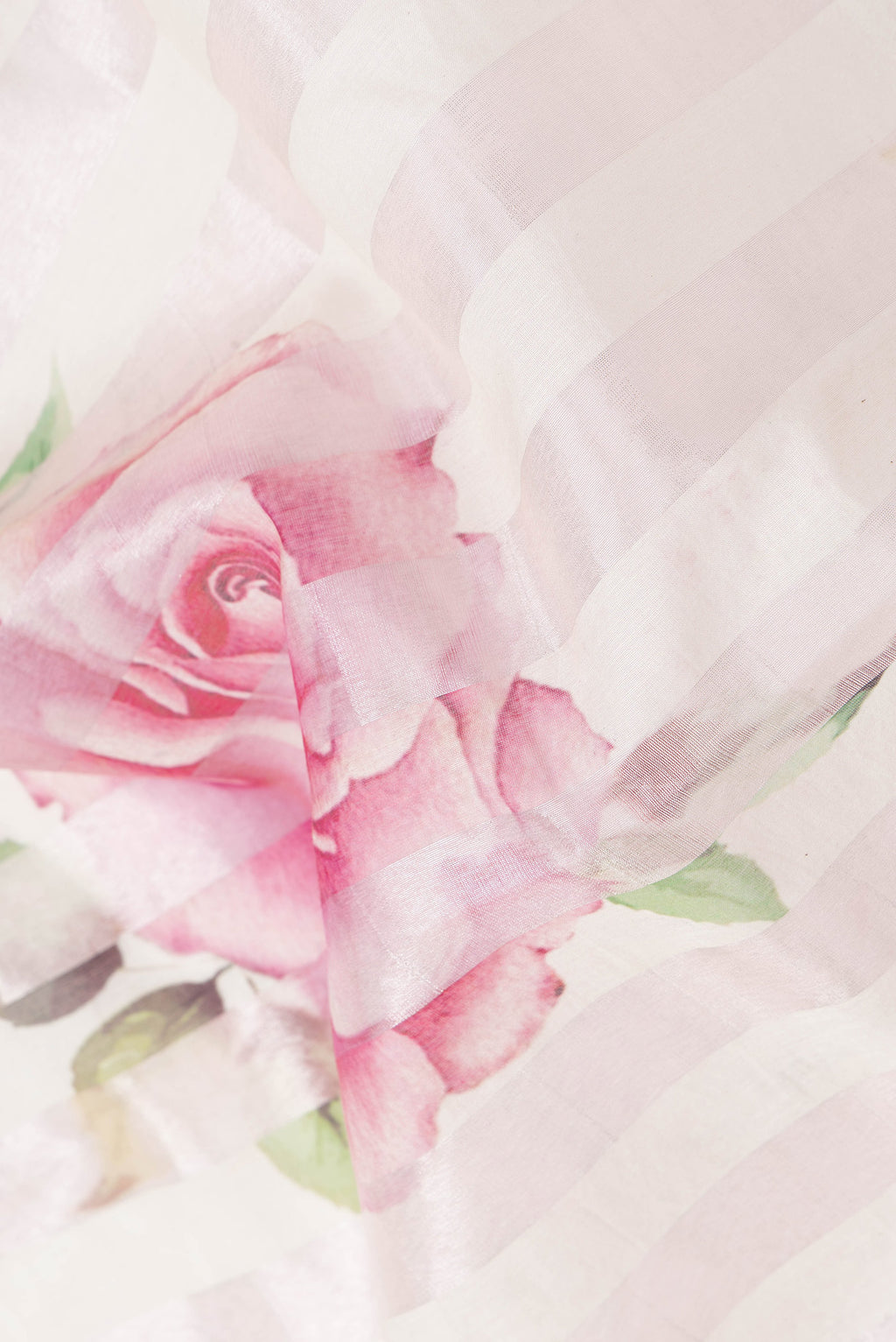 Close up of Pink and Off White Color Organza Silk Saree with Stripes on the body and Without Border.  displaying folds