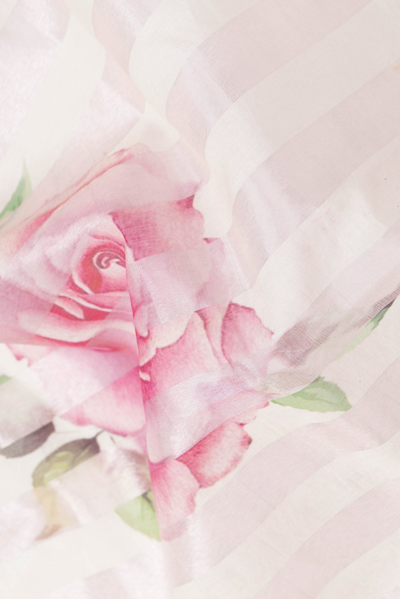 Close up of Pink and Off White Color Organza Silk Saree with Stripes on the body and Without Border.  displaying folds